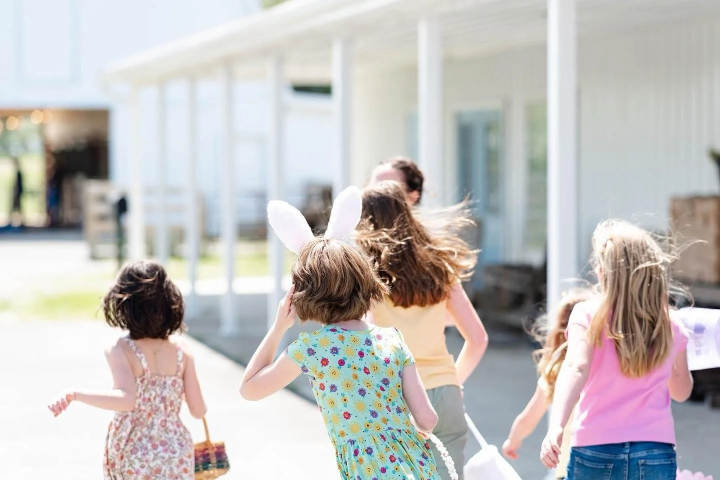 Spring has sprung and Easter is here! 🐰 Wishing you a hoppy holiday weekend from the family here at Loblolly Acres! 

Photo by @flatridgephotography