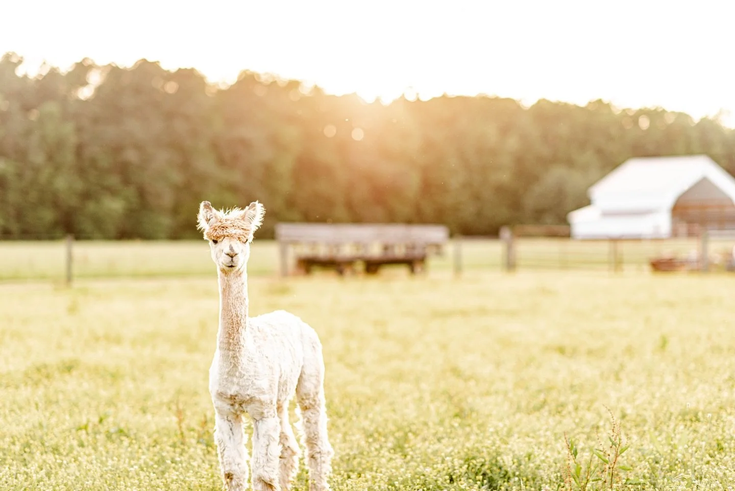 Stay up-to-date with all the latest events by subscribing to our newsletter below! Don&rsquo;t let your busy schedule get in the way of discovering new and exciting events in Kent Country, Delaware.

Stay in the know, and watch us grow! - https://mai