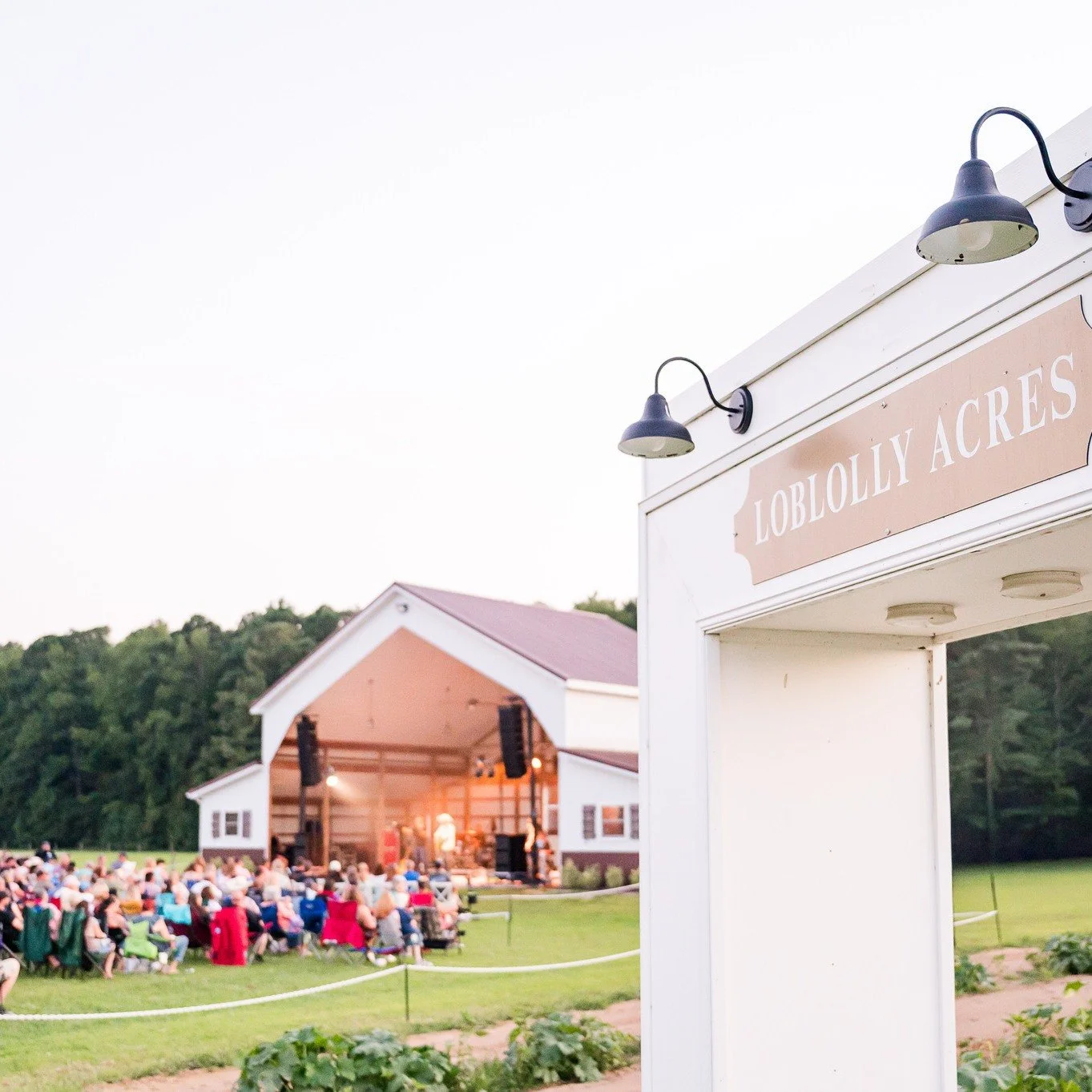 We often hear we are Delaware's "hidden gem" &mdash;a venue where music, nature, and community come together.

Nestled on our family farm, Loblolly Acres is more than just a concert venue. Every event supports our nonprofit, The Art Society