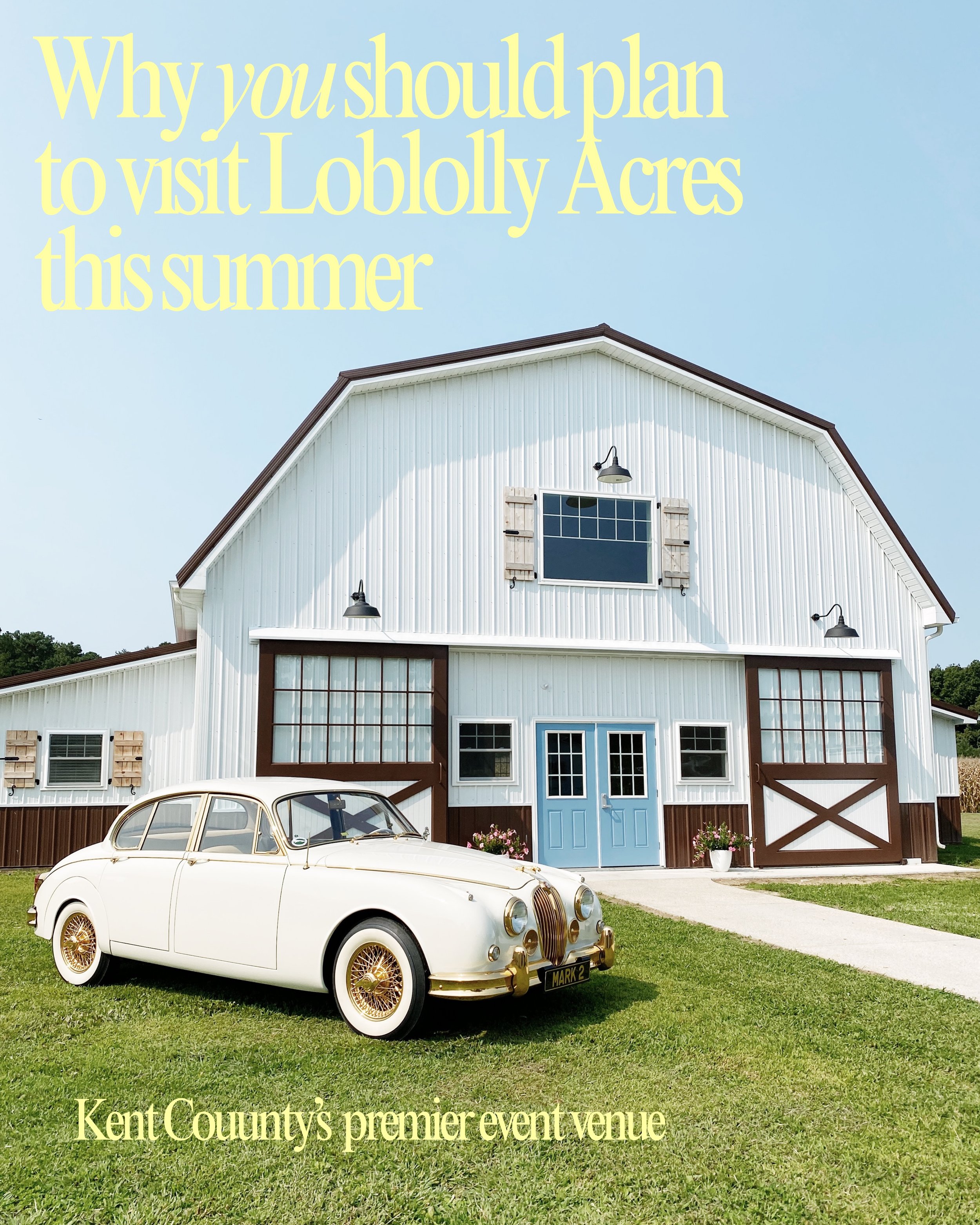 Have you visited us yet? 

Get your tickets &amp; learn more at loblollyacres.com 

Photos 2, 3, 6, 7, 9-12 by @flatridgephotography