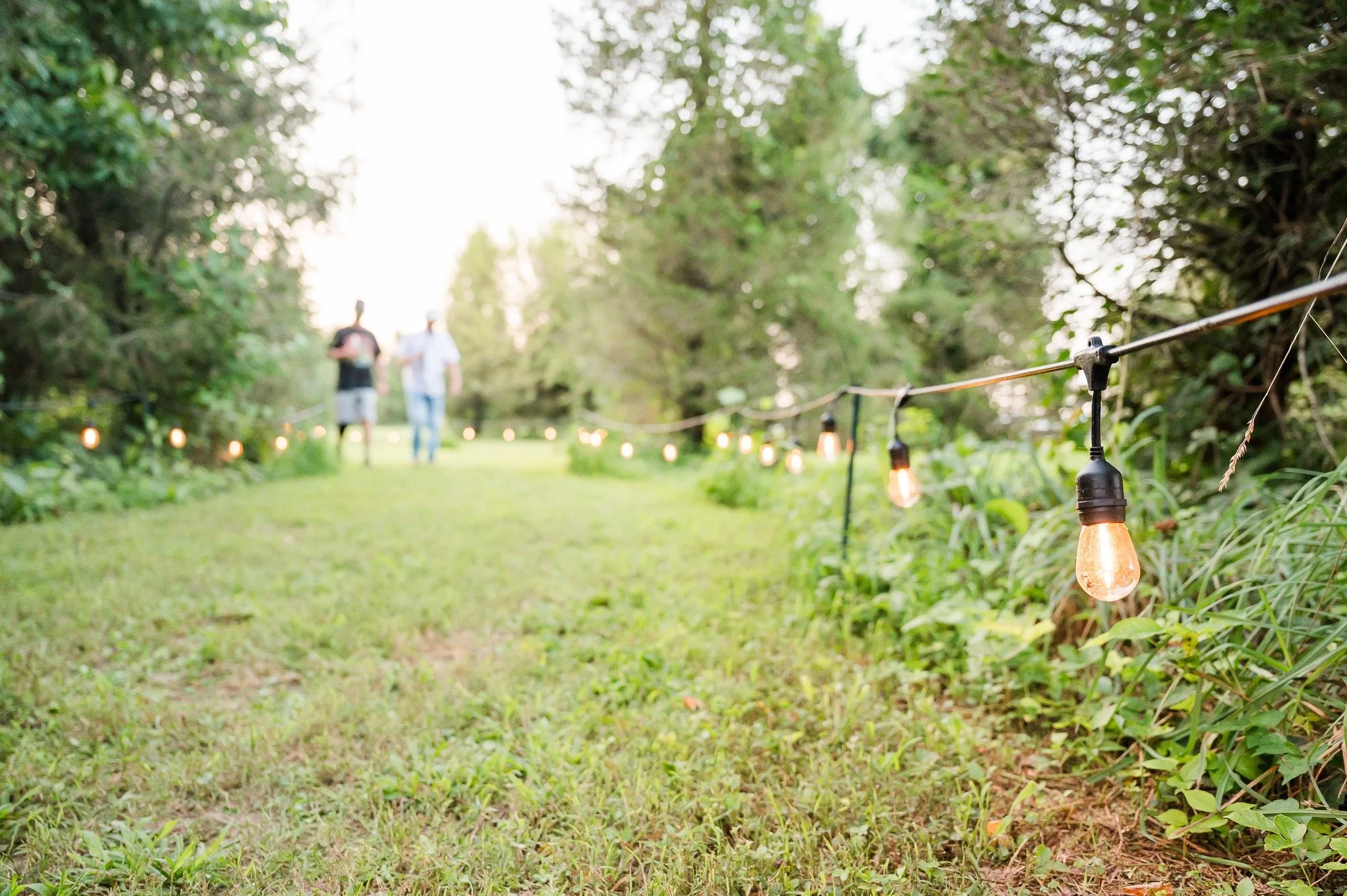 Have you discovered the Old Pine Bar yet? 🌲

The next time you join us for a concert at Loblolly Acres, take a stroll and find one of our most unique gathering spots.

Our story begins in 1964, when Barbara Ann Warren dreamed of creating a Christmas