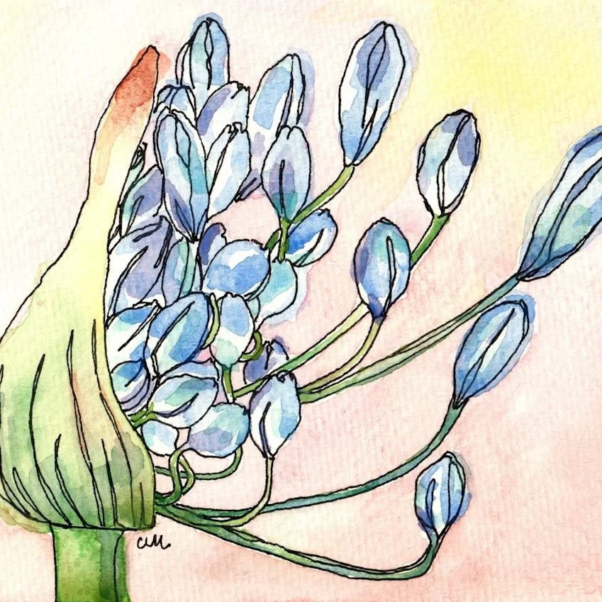 THIS SUNDAY at Loblolly Acres! 
September 27, 2026 

A special afternoon of art, conversation &amp; community as Christie L. Miller, MD hosts an Art Show at the farm from 1&ndash;4 PM.

Bring a friend and come support the incredible local artists in 