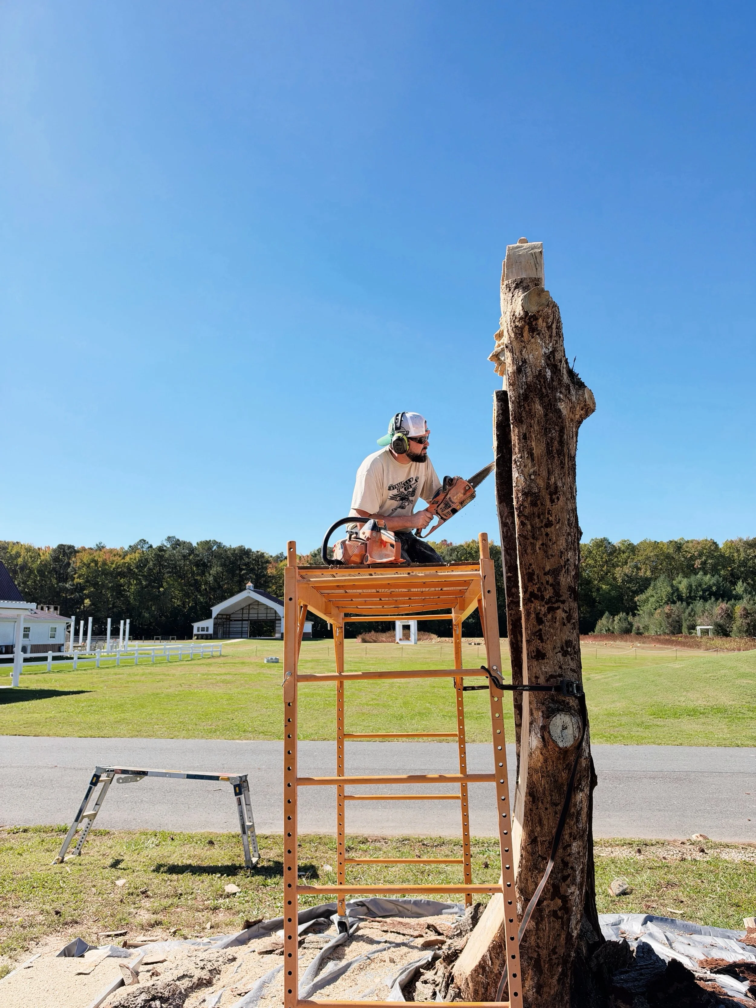 Thanks to a generous donation from the Empowerment Fund we are able to turn this dead tree into a piece of art! Local chainsaw artist Josh Miller is creating a one-of-a-kind piece for the farm. See the progress when you visit us this Sunday for our l
