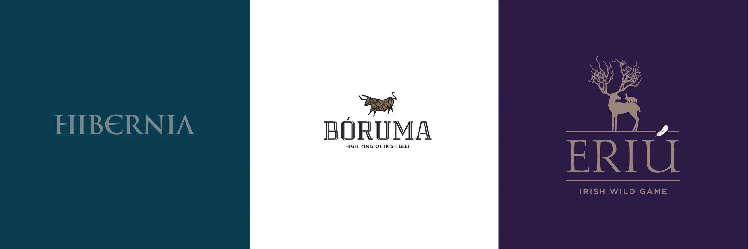 Odaois Brand Website-01.jpg