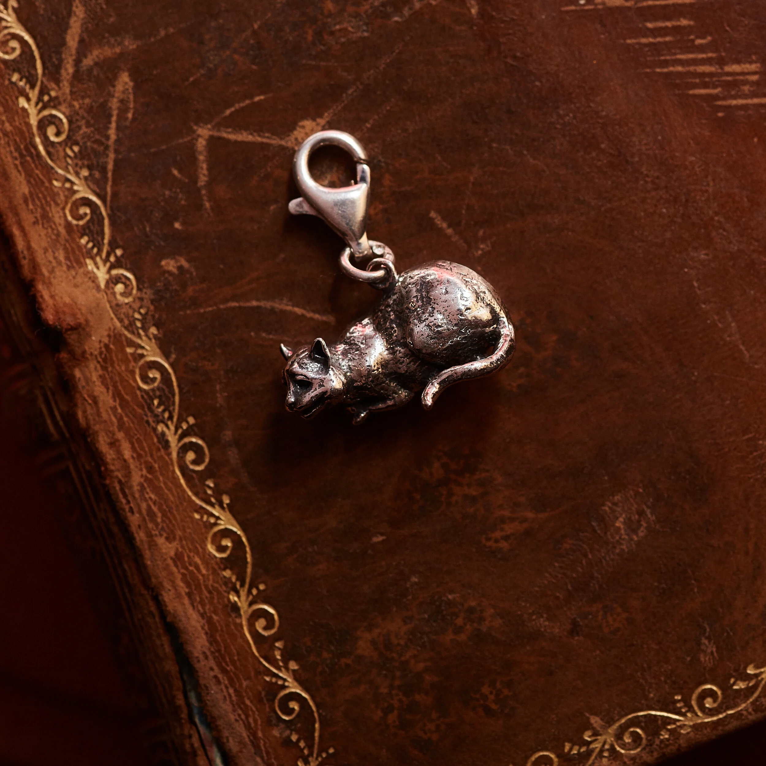 Cheshire Cat Charm