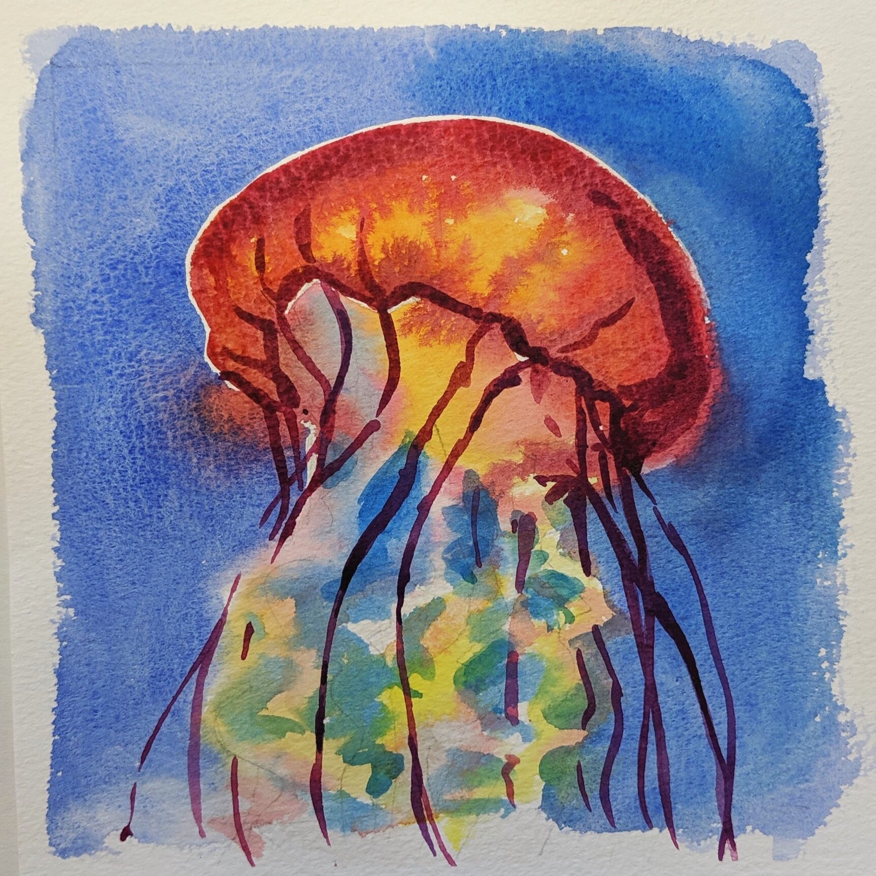 Sea Life Watercolours (Cornwall) £195pp