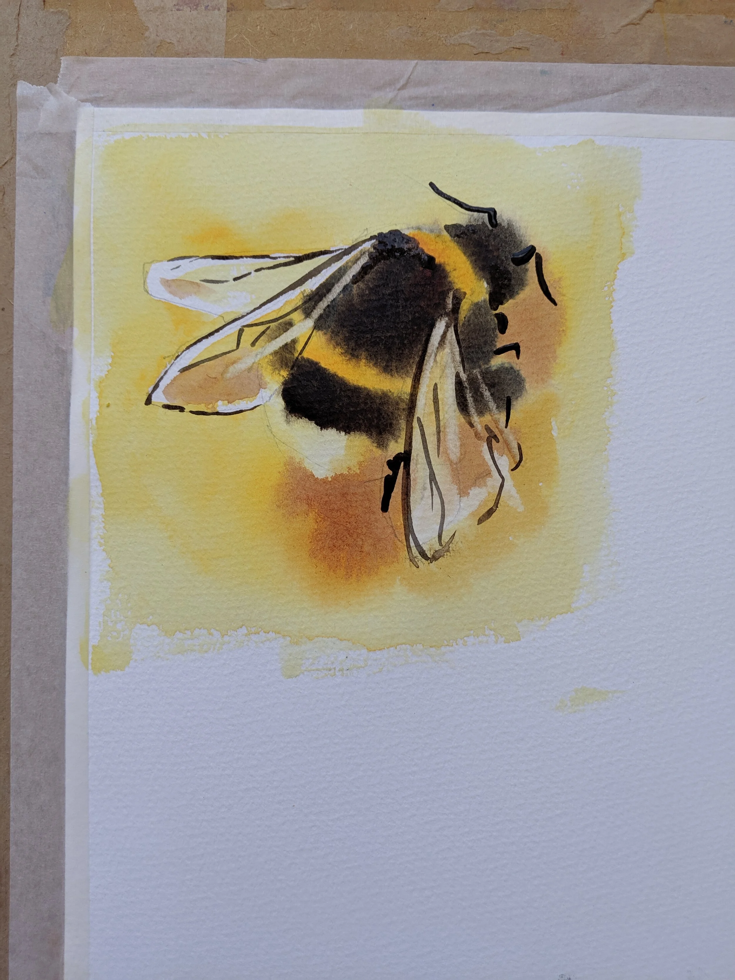 Birds, Bee and Bugs Watercolour Workshop DEPOSIT (Cornwall) 26th-27th October 2020