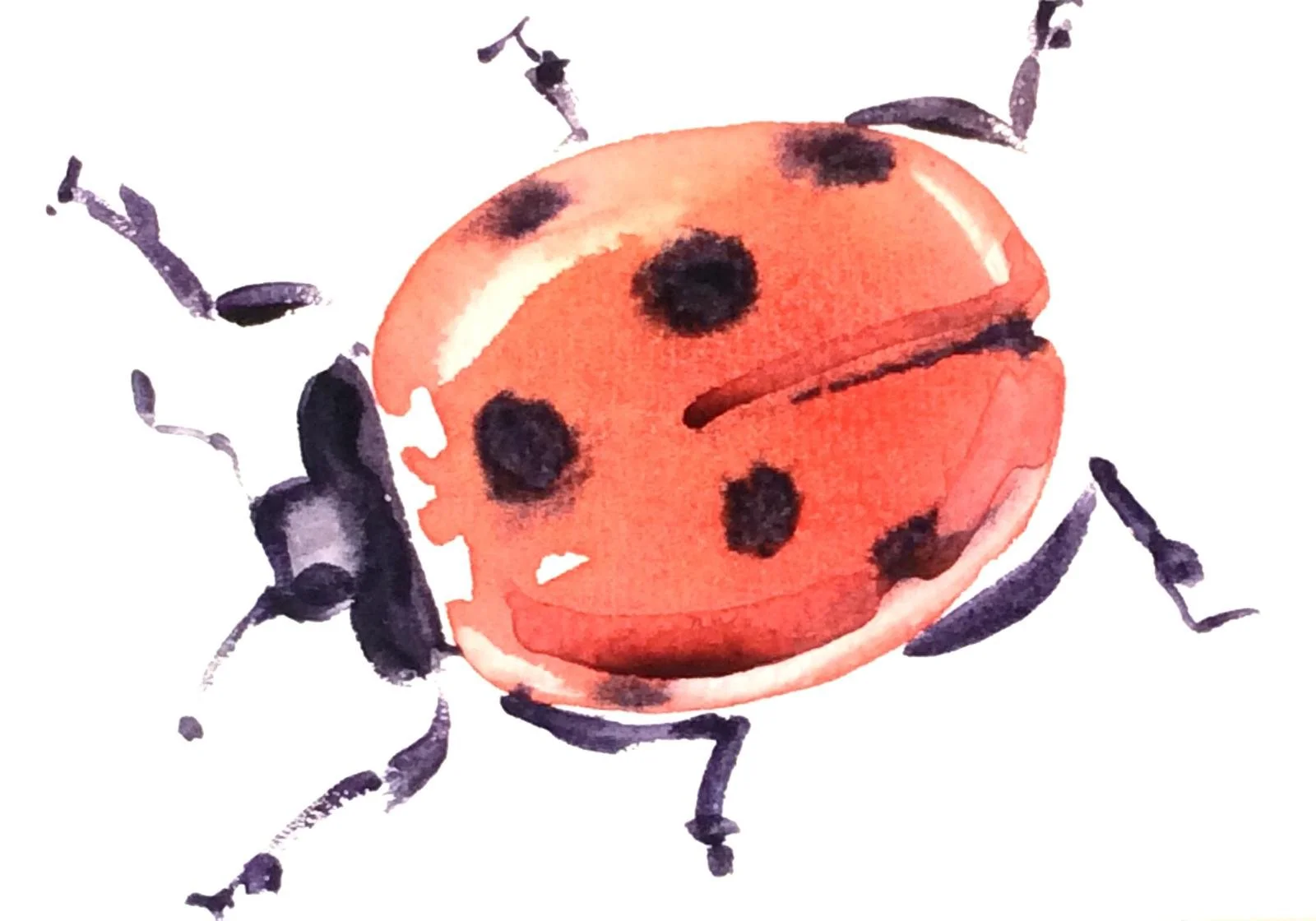 WhatsApp Image 2025-11-24 at 20.47.05.jpeg