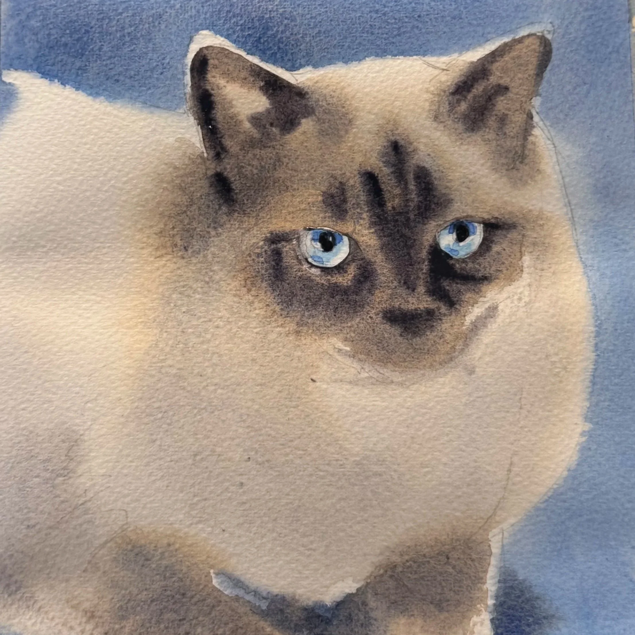 Paint Your Pet! 