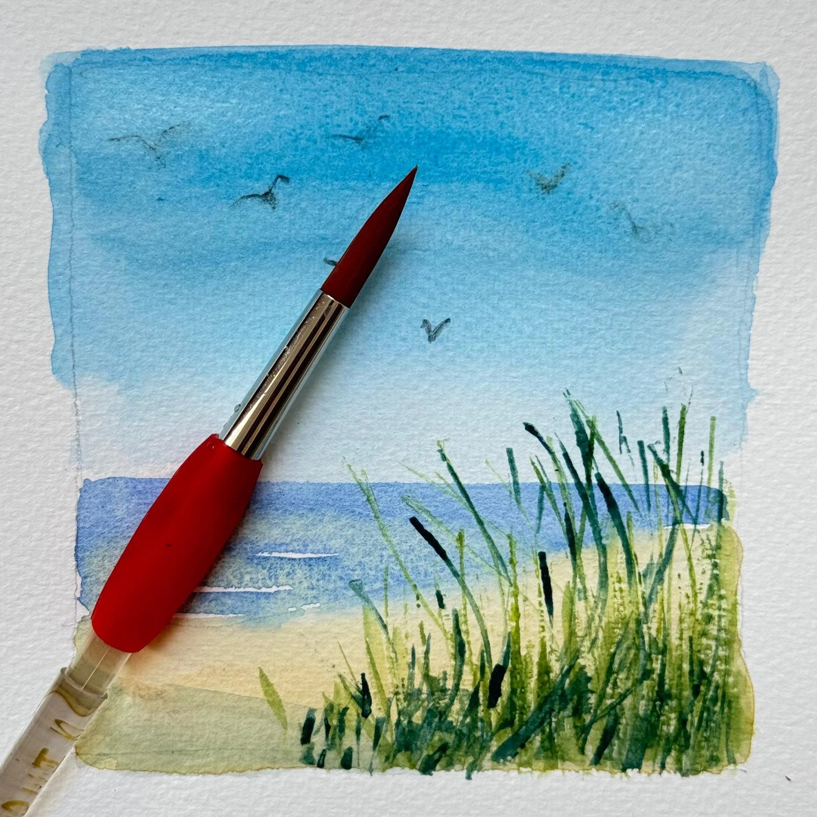 Seascape Watercolours for Absolute Beginners (Cornwall) £95pp