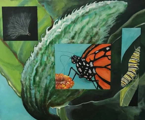 Monarch Butterfly - Let's Protect It! (Copy)