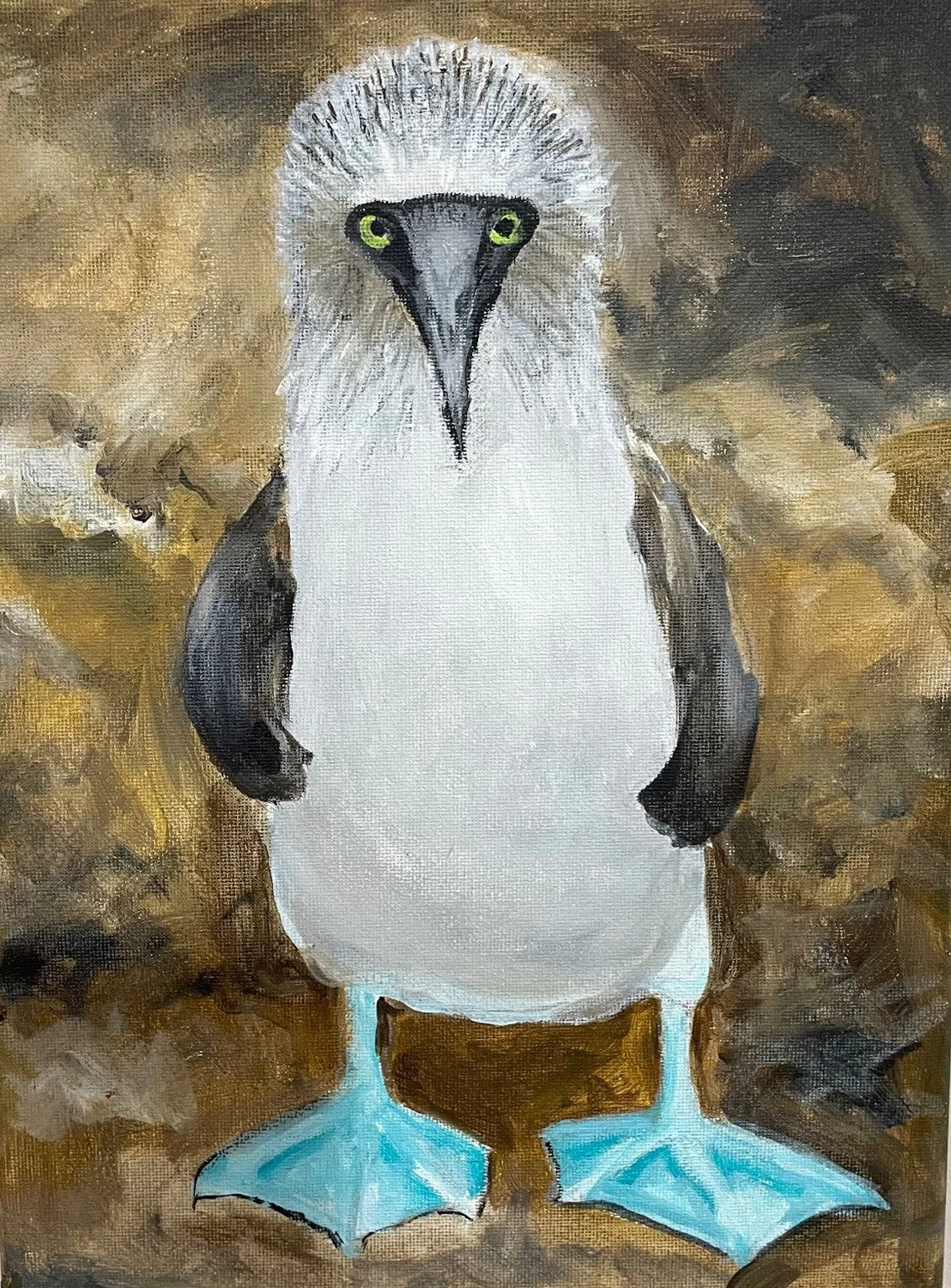 Exposed - Blue-Footed Booby - AVAILABLE