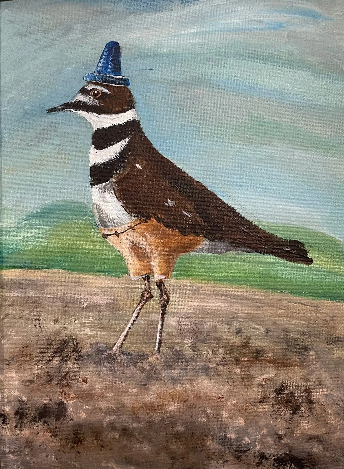 Mr. Short Pants - Kildeer - SOLD