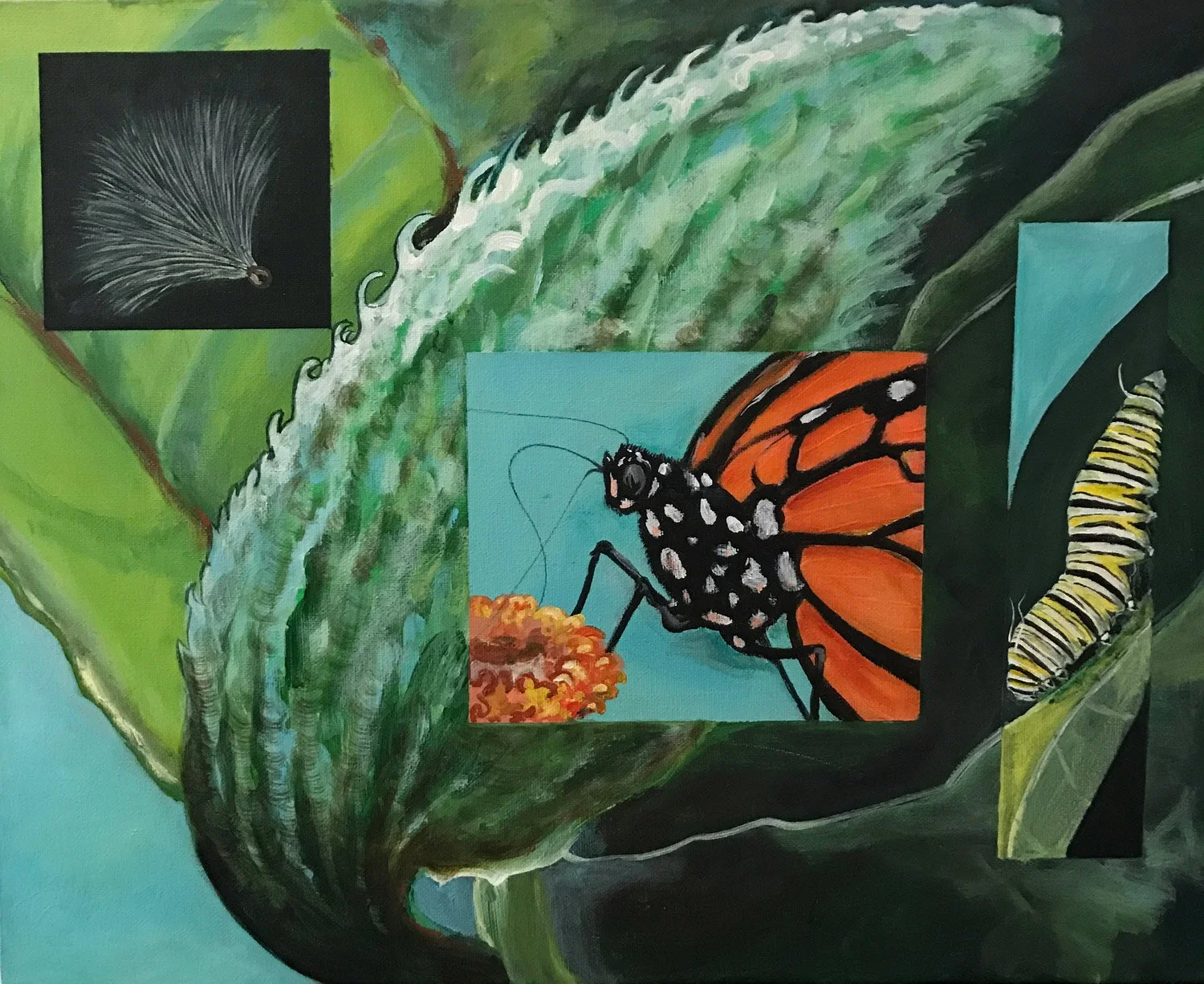 Monarch - Let's Protect it - AVAILABLE