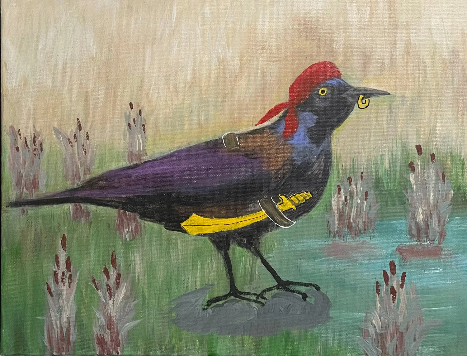 The Pirate - Grackle - AVAILABLE