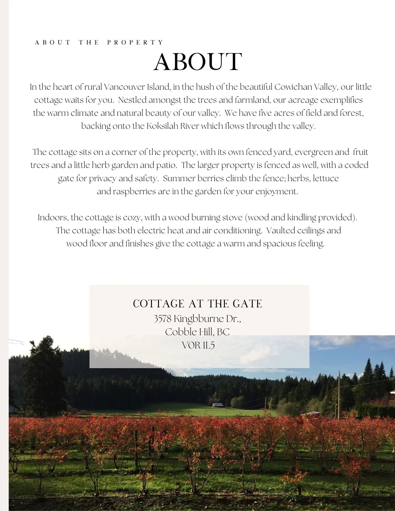 our airbnb — Bonnie Landry