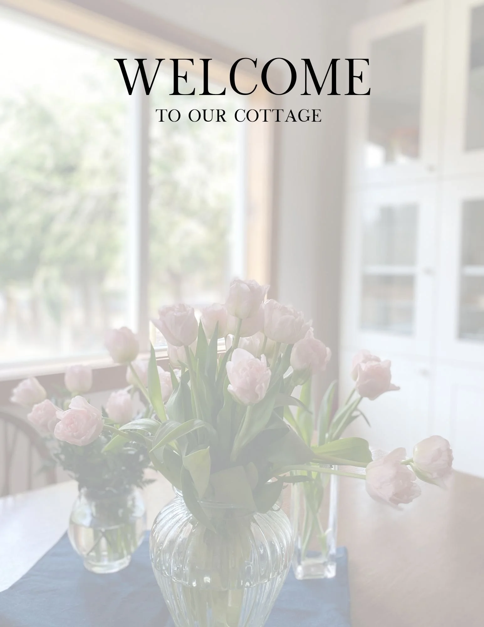 our airbnb — Bonnie Landry