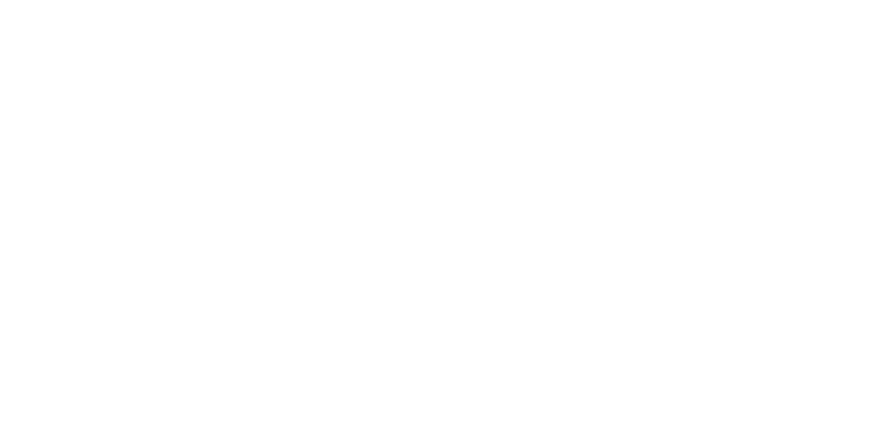 Northstar Global Investment