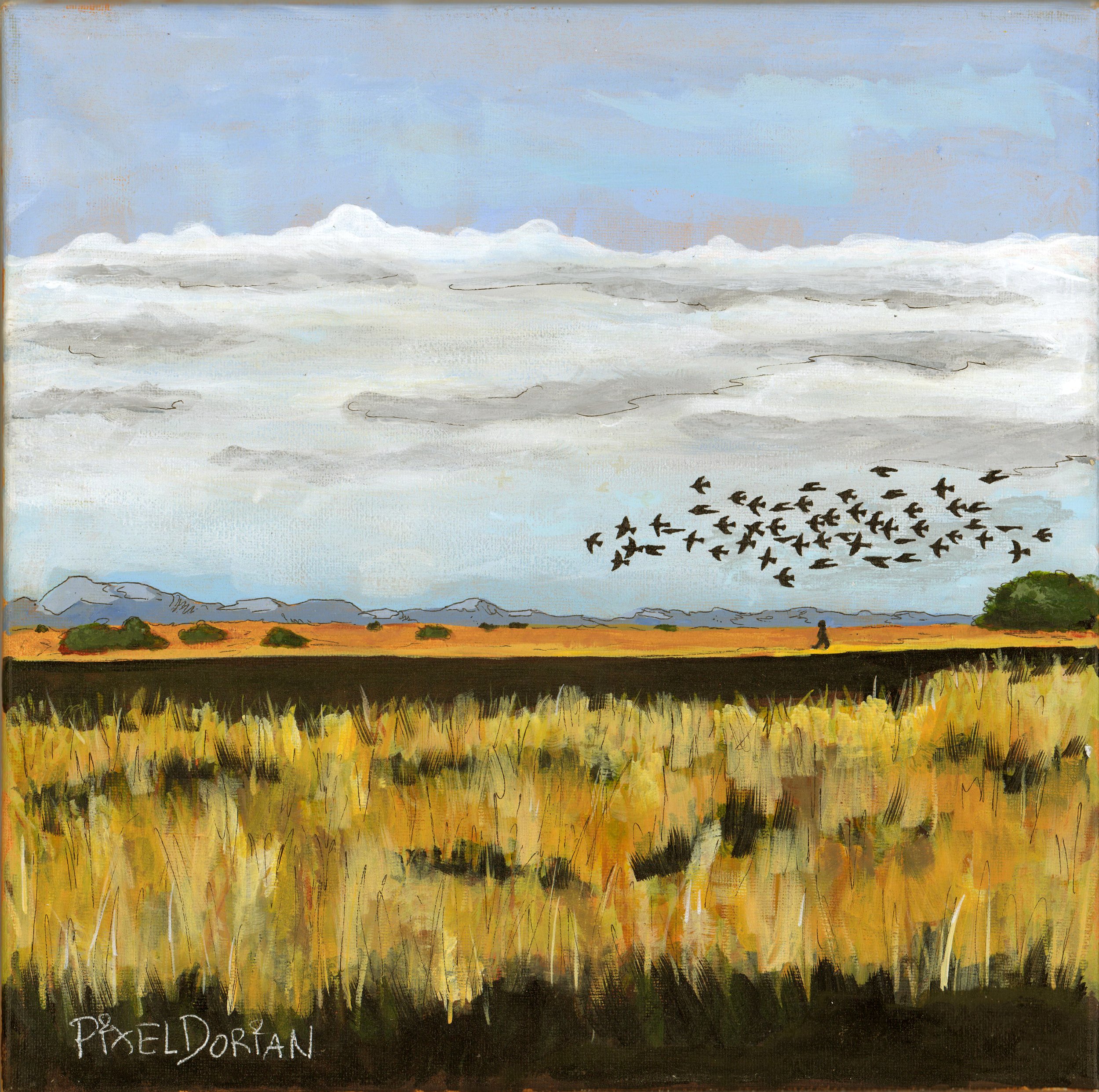 "BirdWalk" (Whitewater Draw Refuge)