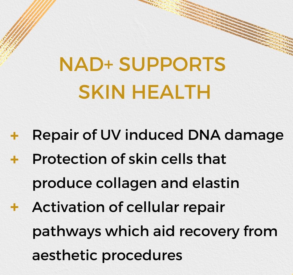 NAD%2B+supports+skin+health.jpg