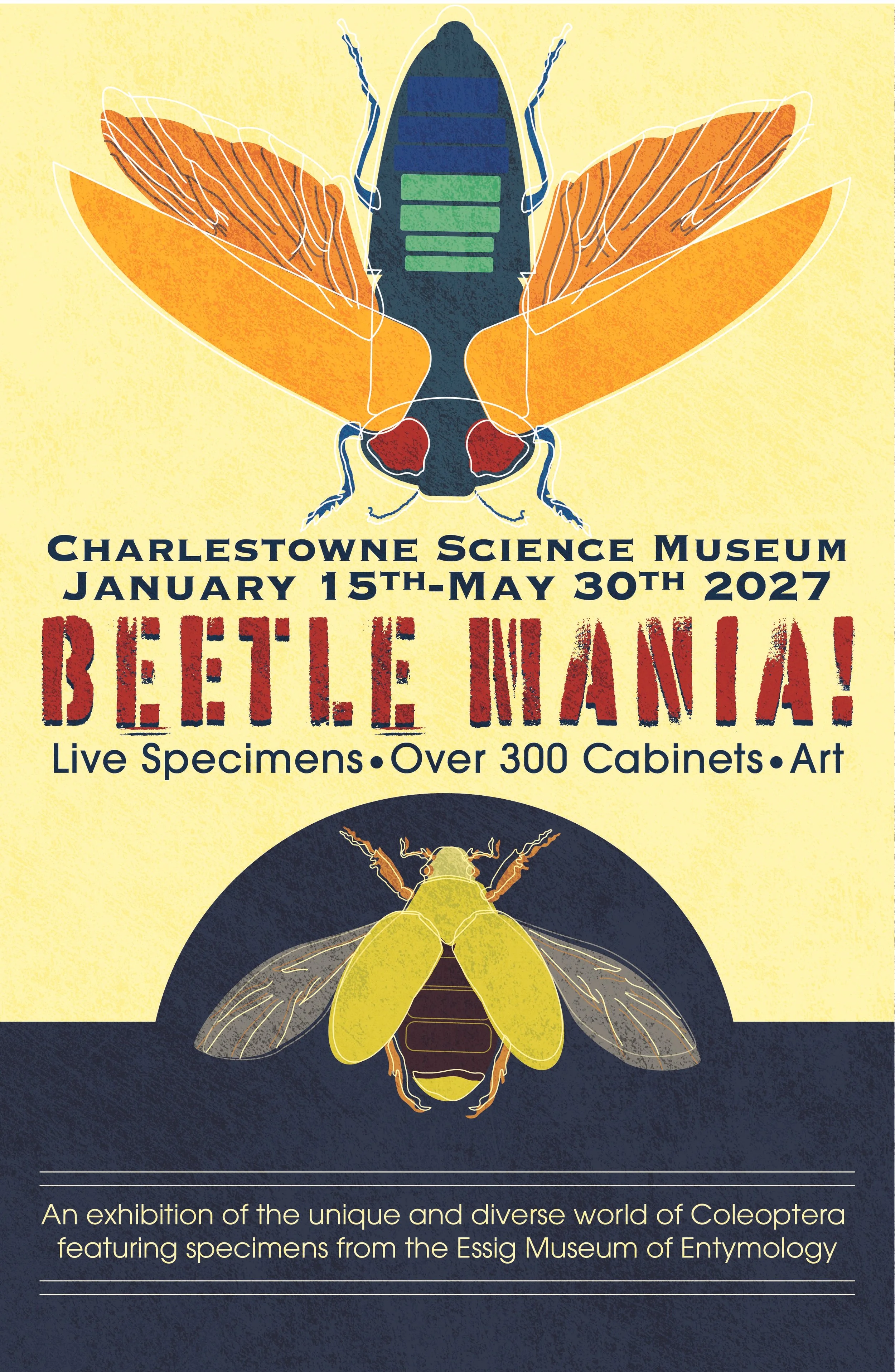 beetleposter1singleTEXTURE.jpg