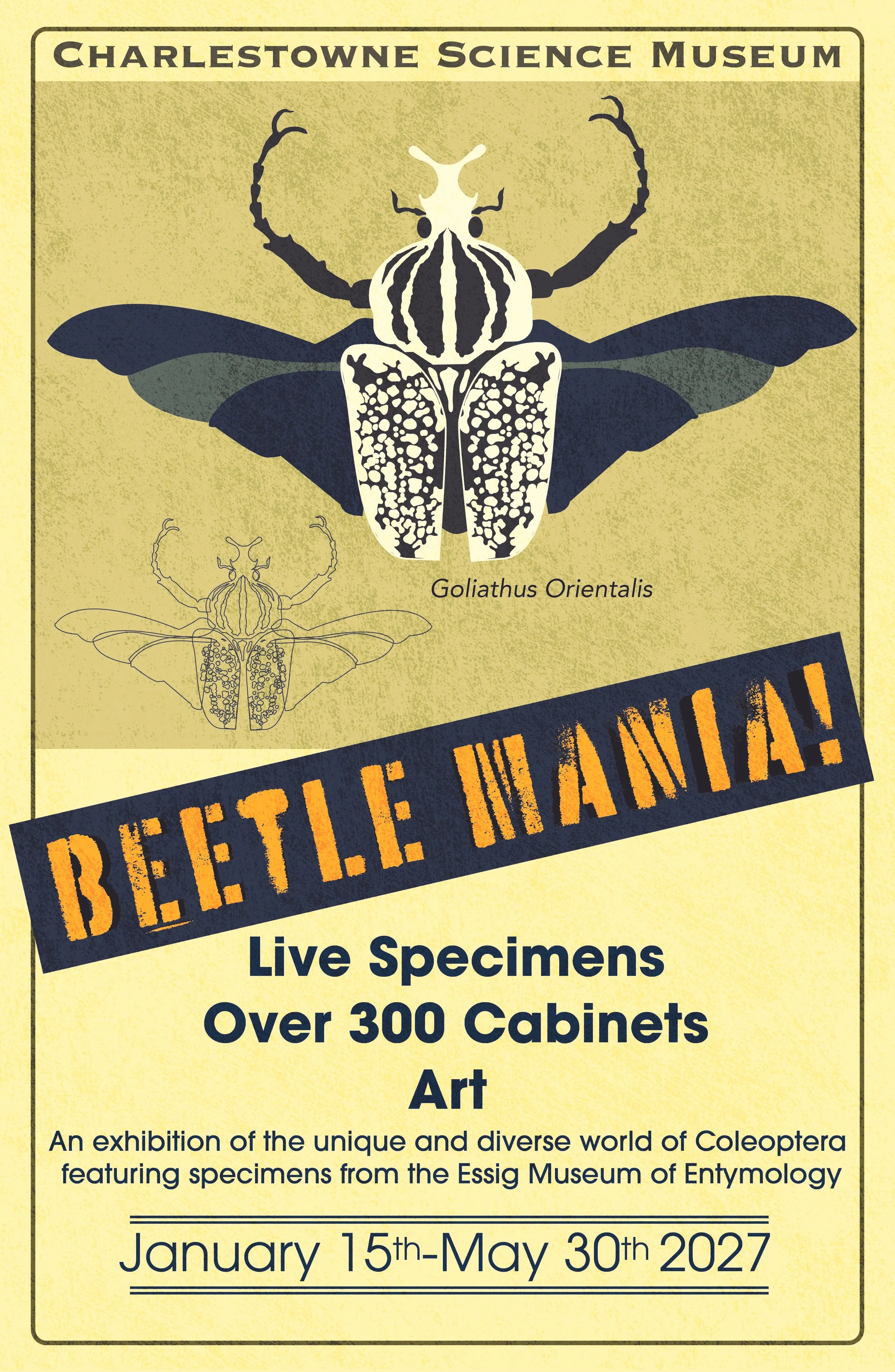 beetleposter2singleTEXTURE.jpg