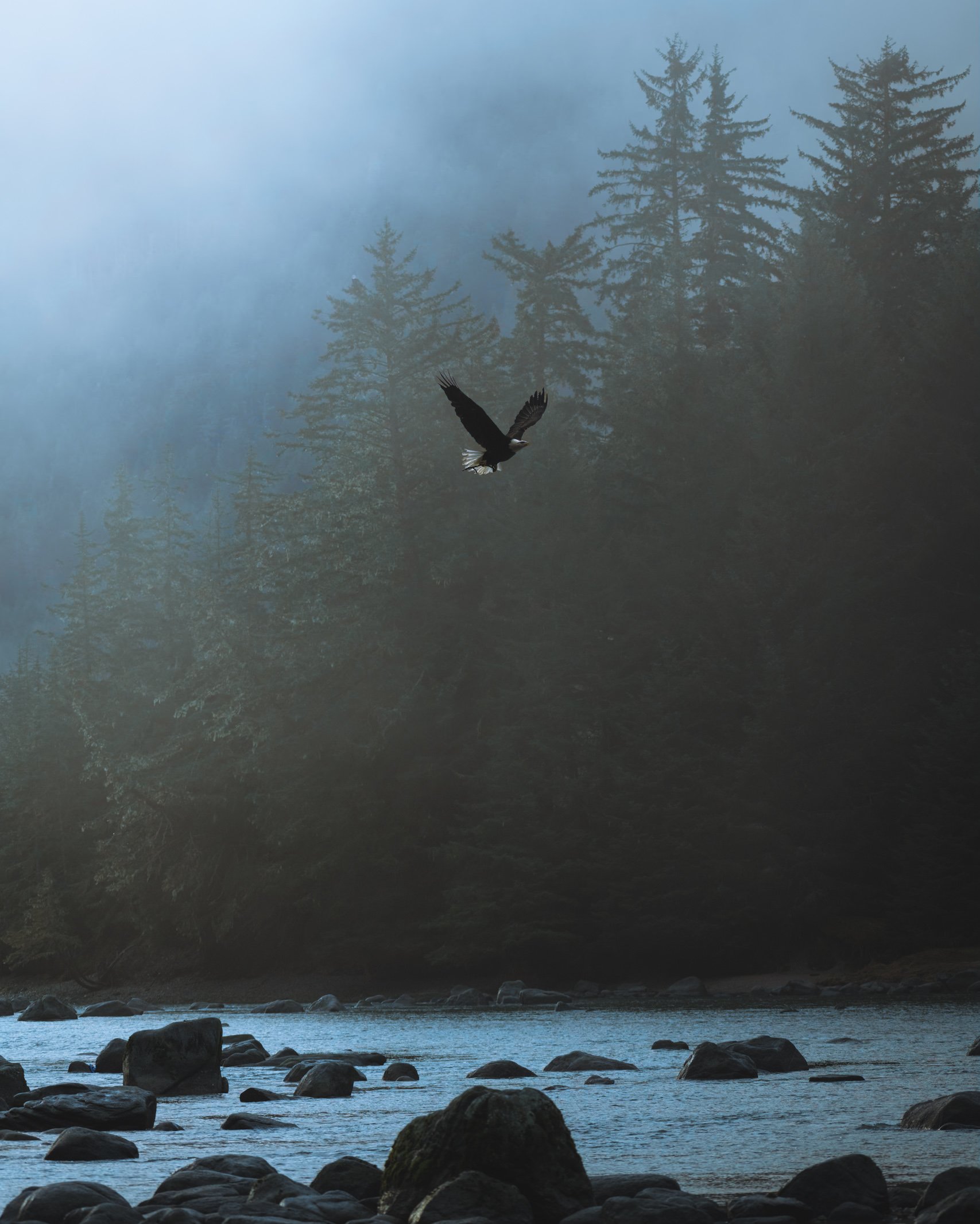 ZAC_3411-Edit.JPG