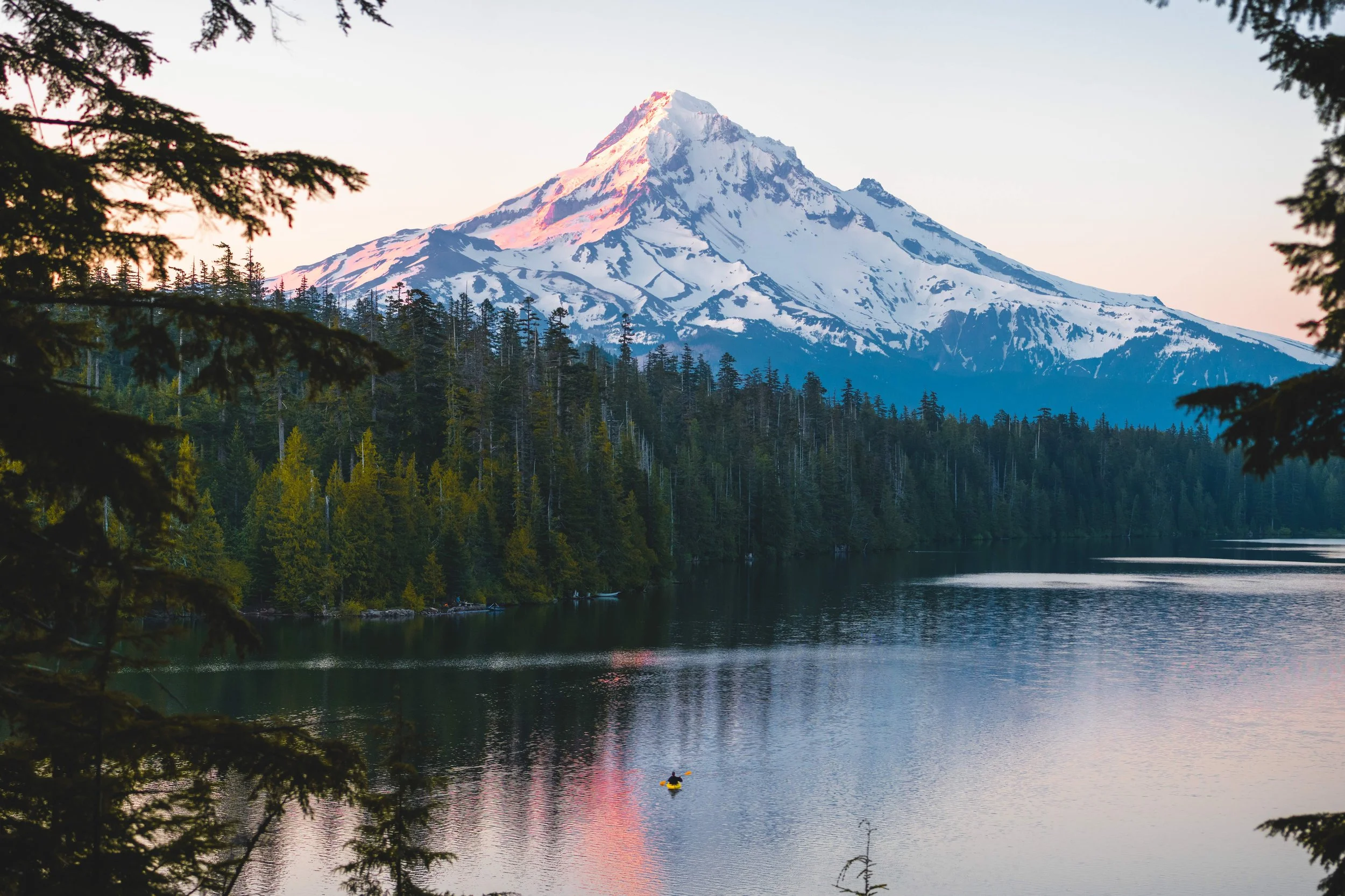 How to Use a Color Checker Tool for Perfect Colors 