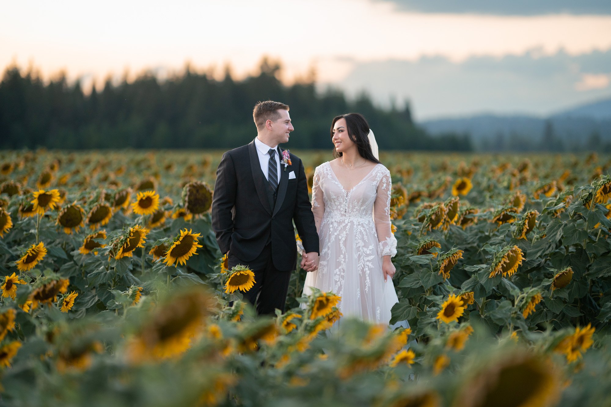 The Best Cameras for Wedding Photography in 2024 — Zach Nichols Photography