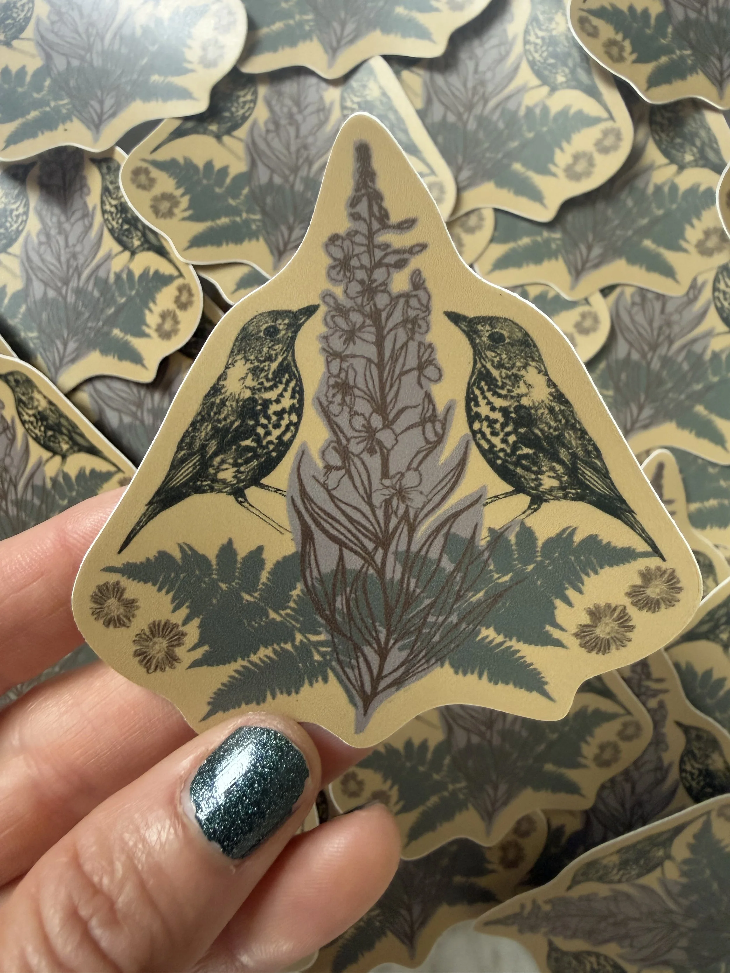 Swainson’s Thrush Sticker