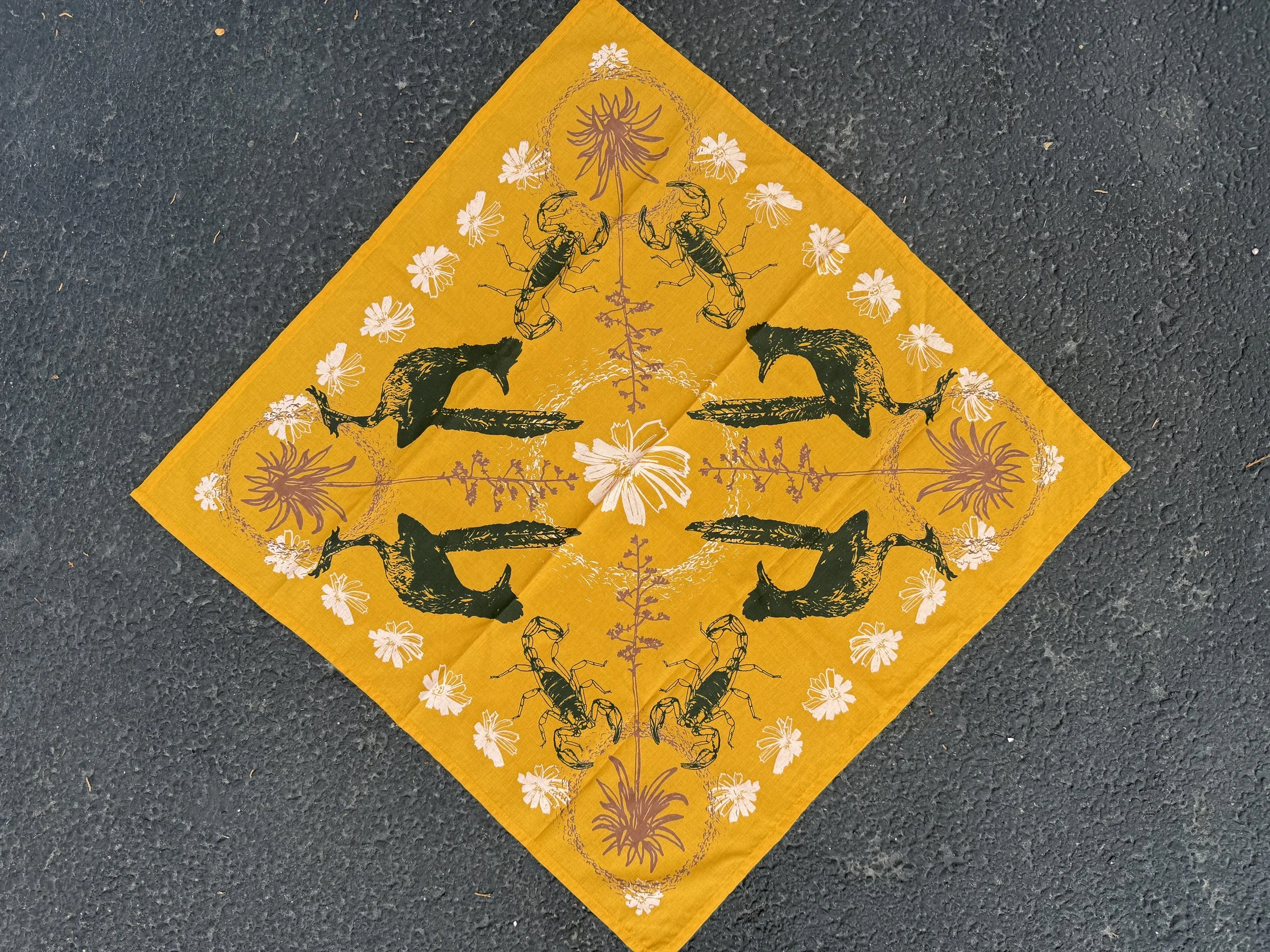 IMG_8793.jpeg