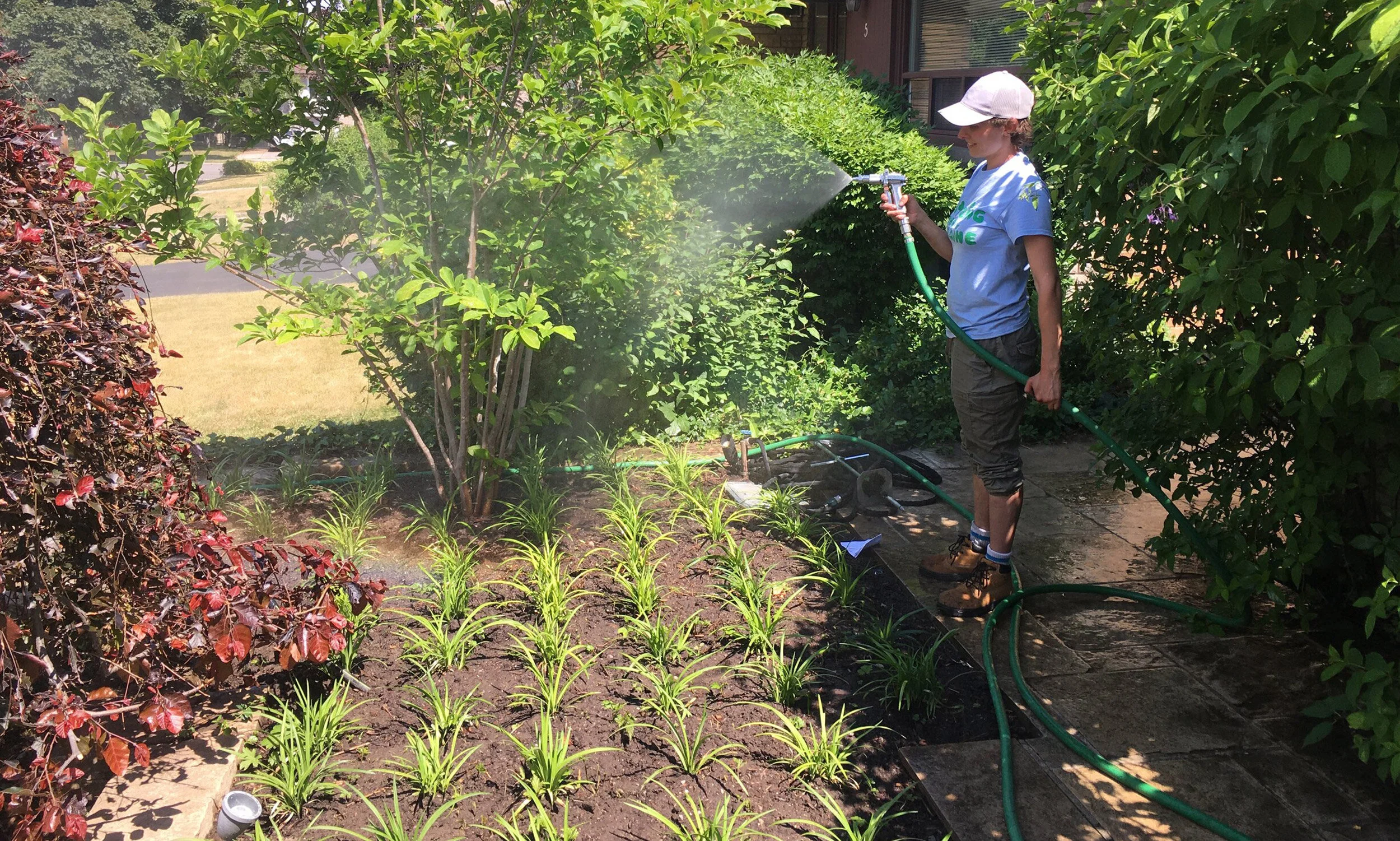 Foliar Spray