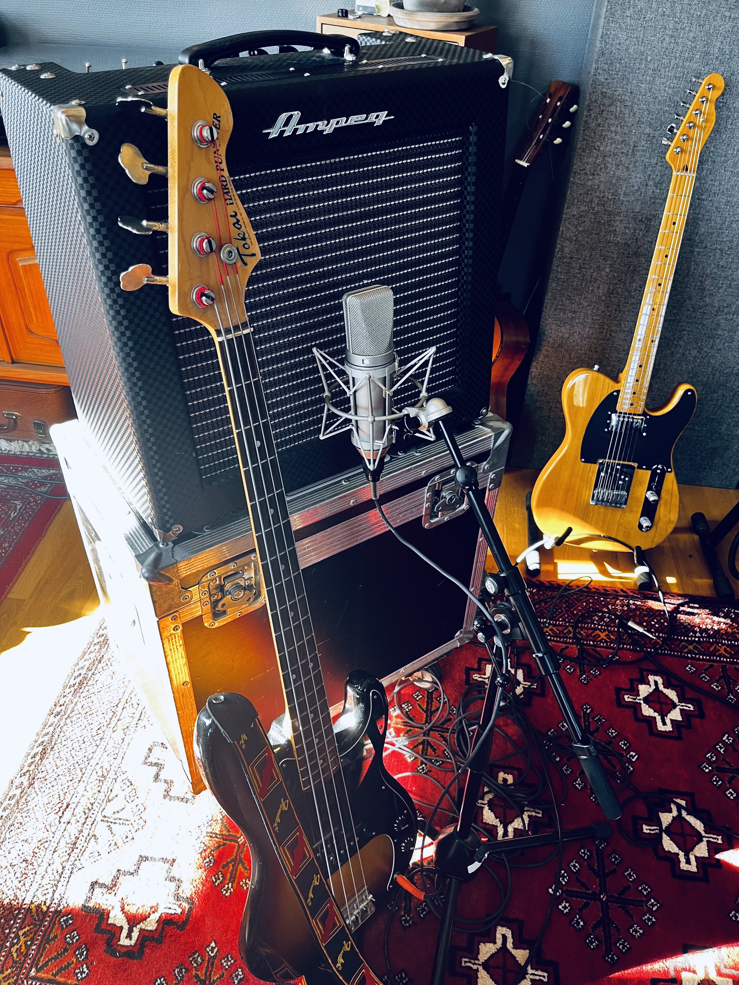 #episk amp - Ampeg Reverberocket