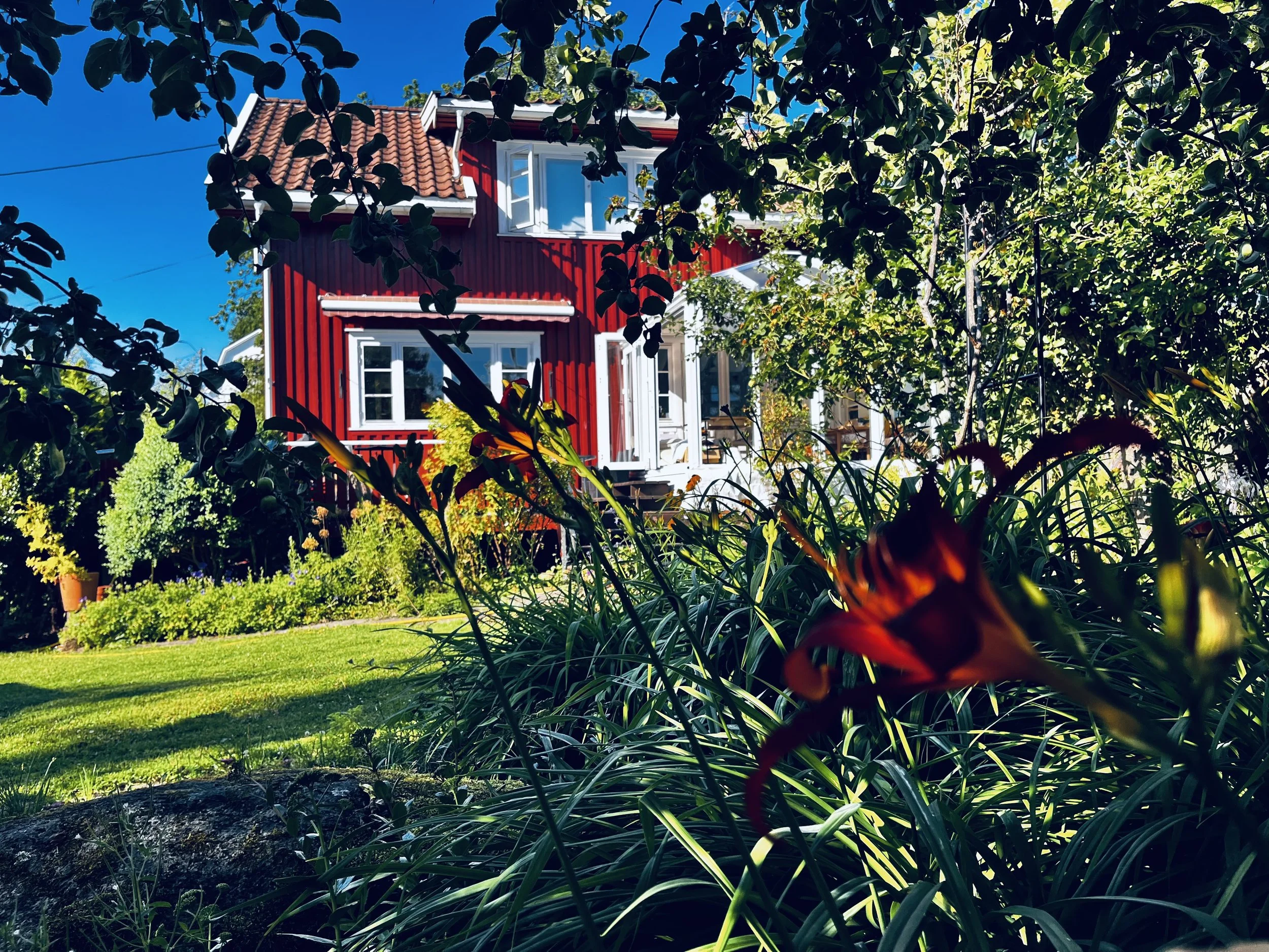 #slapp av i en hage i nærheten