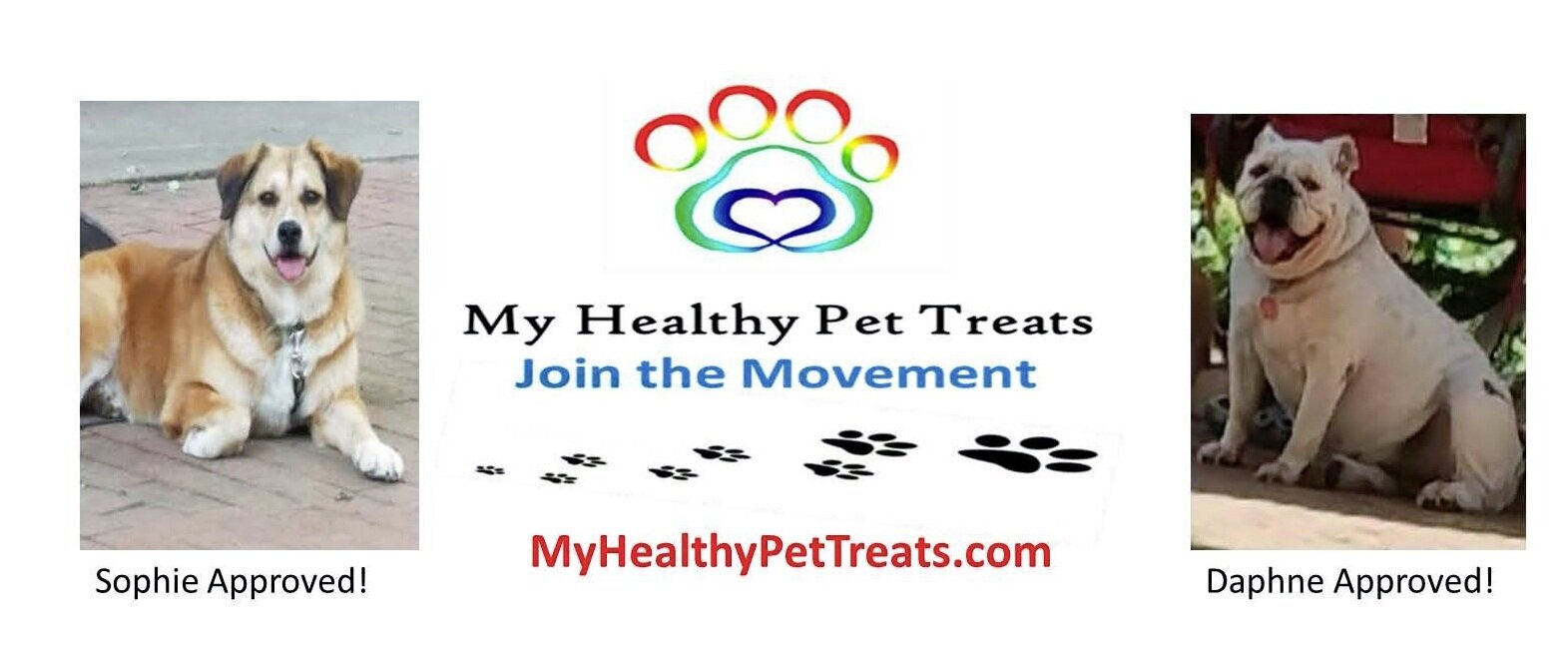the healthy pet