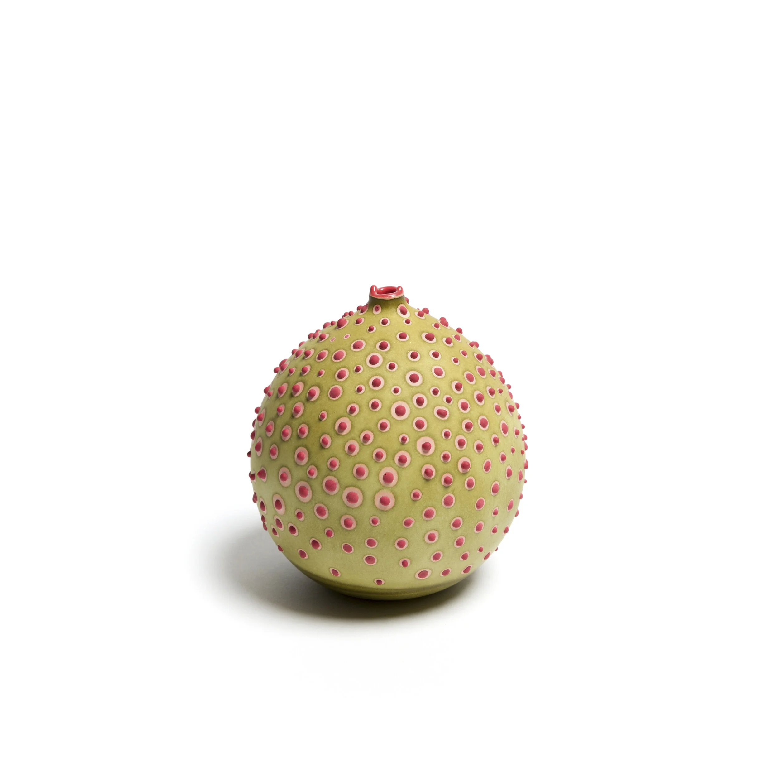 Petri_Olive_1.jpg