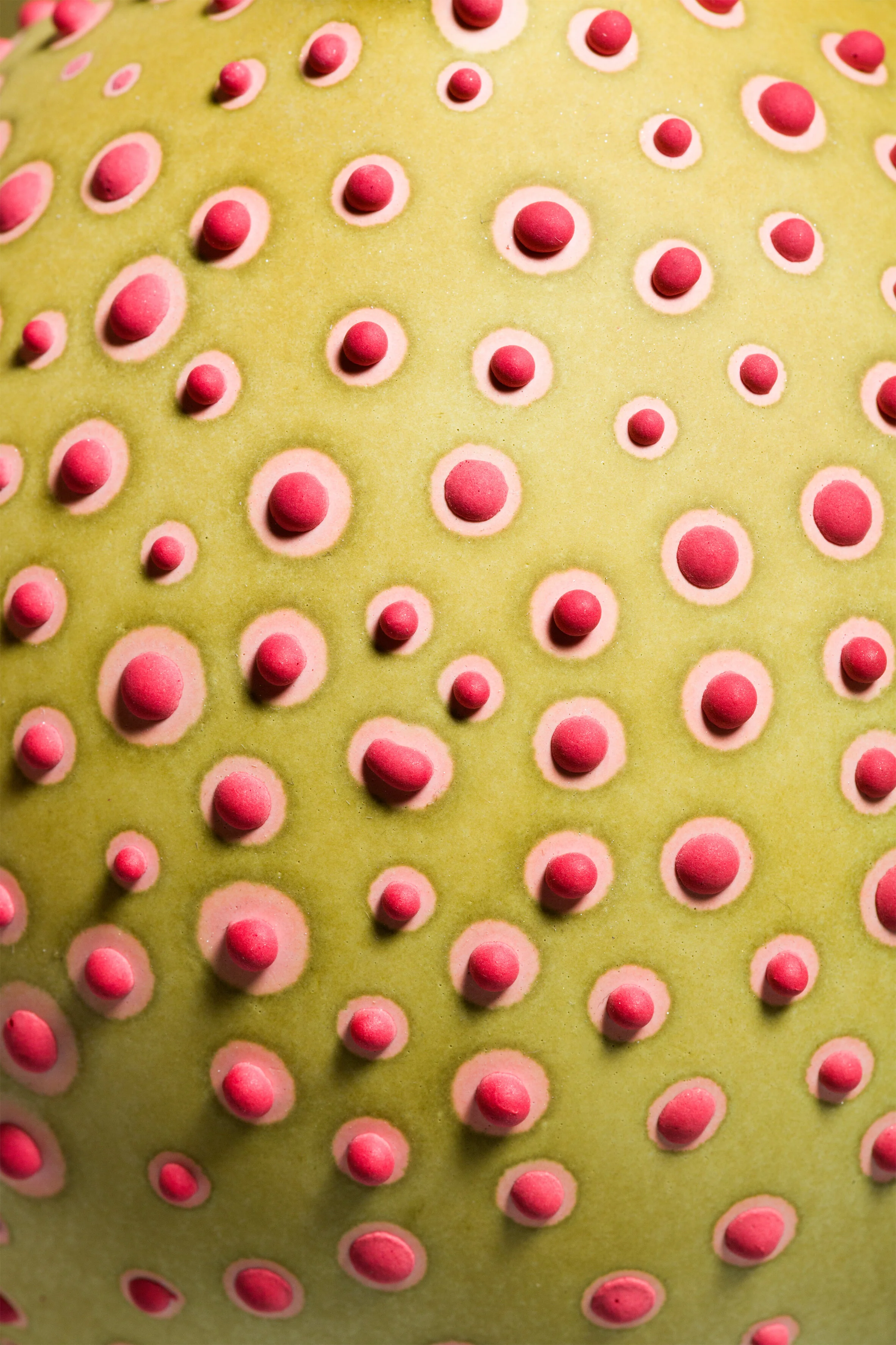 Petri_Olive_2.jpg