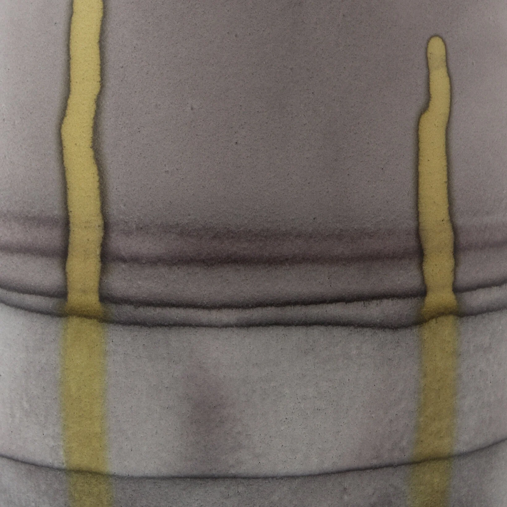 Med Tall_Dust with Lichen Drips_detail2.jpg