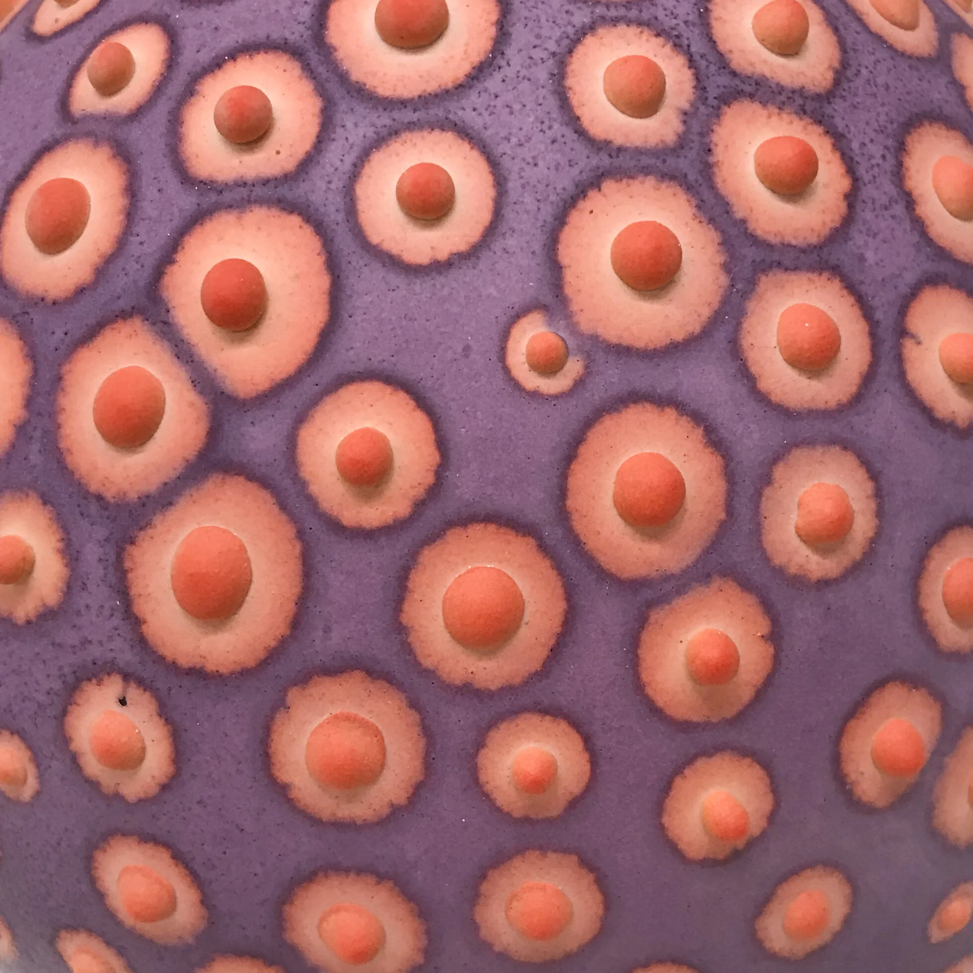 Petri_Purple and Orange_3.jpg