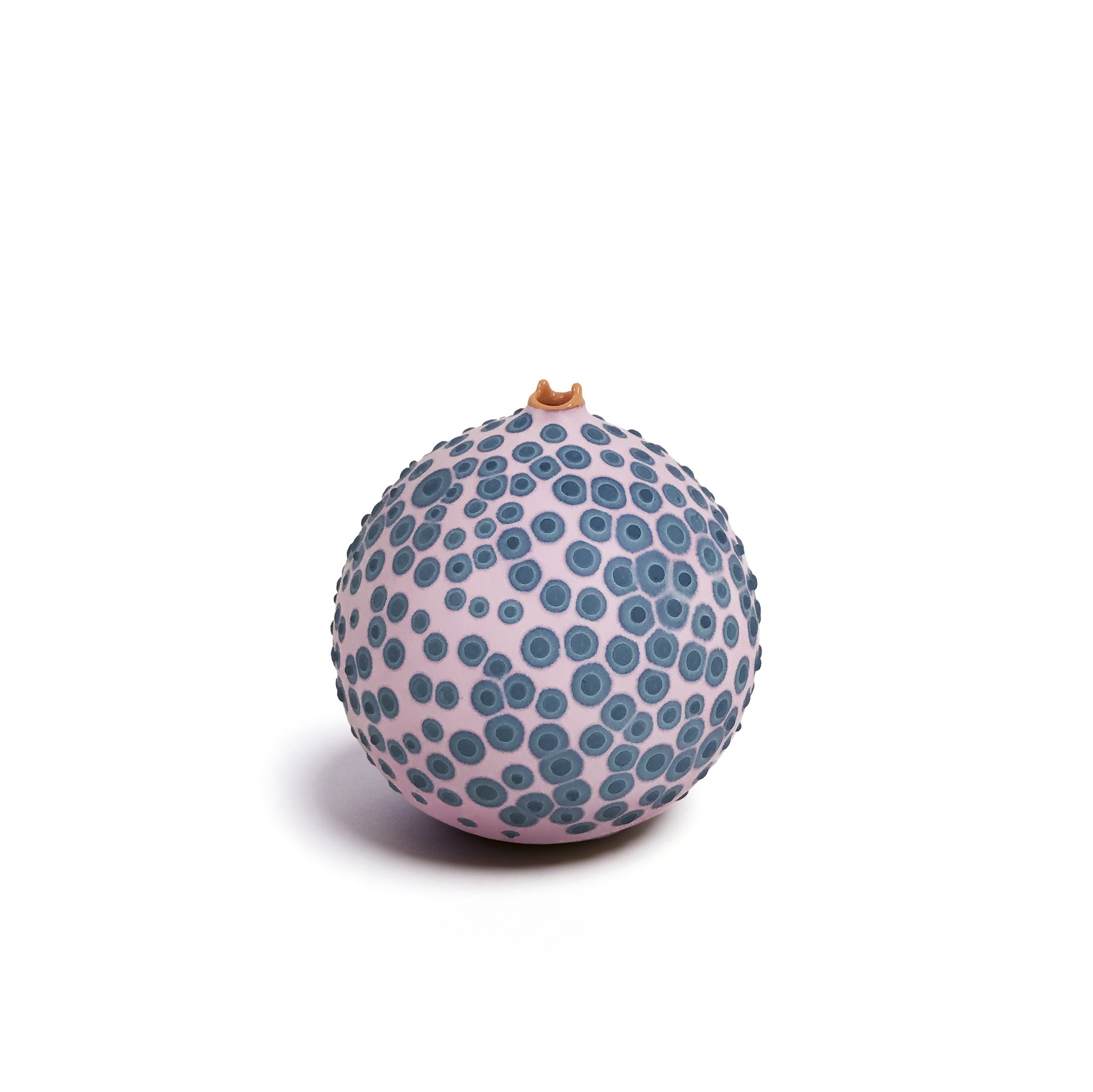 Petri_Pink and Teal_1_web.jpg