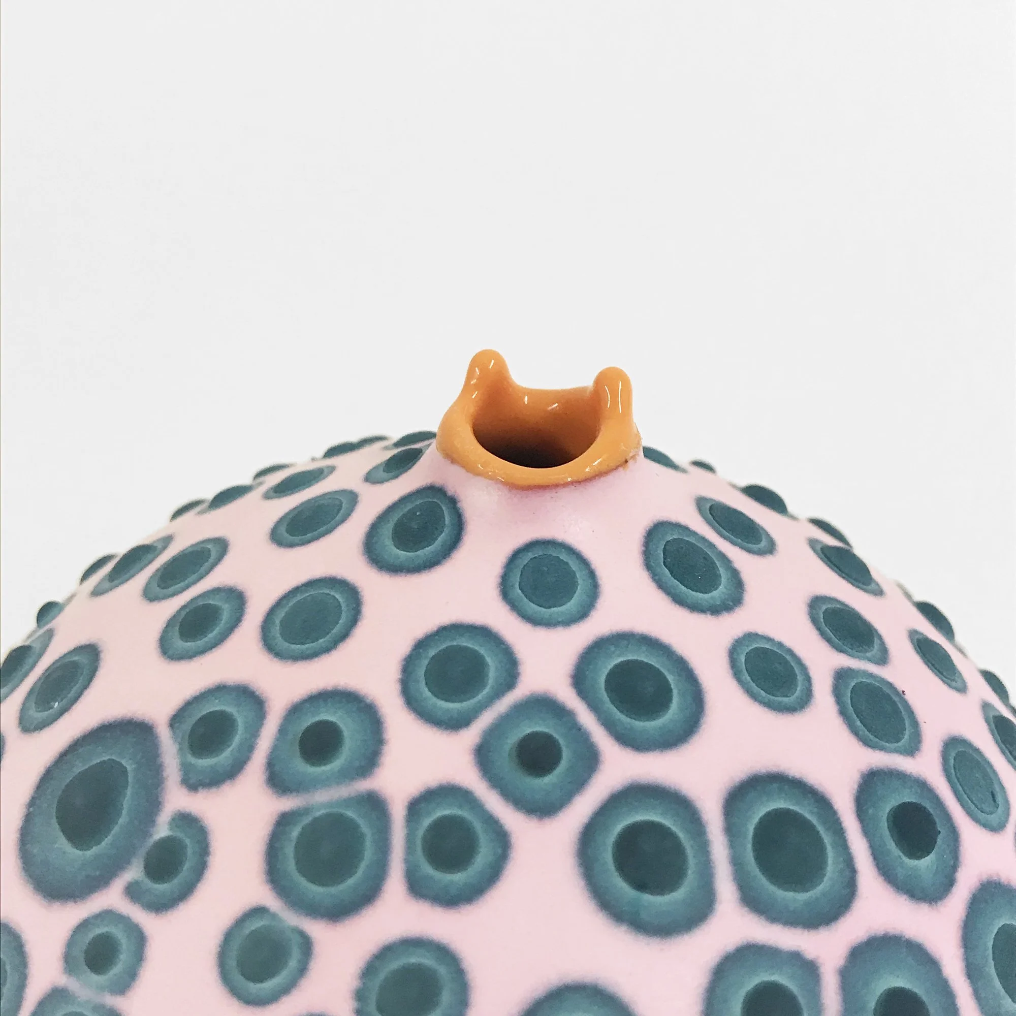Petri_Pink and Teal_2_web.jpg