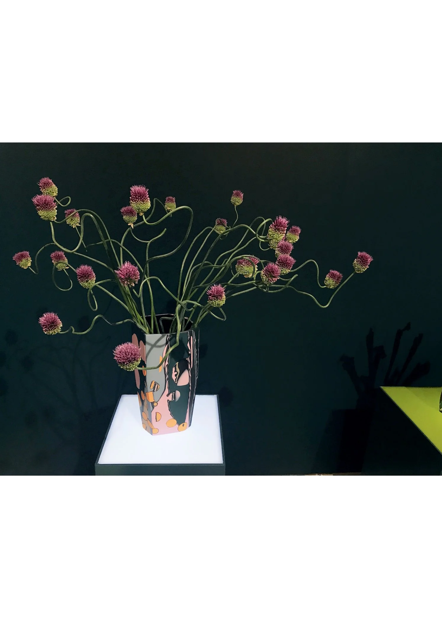 IMG_9833-2.jpg