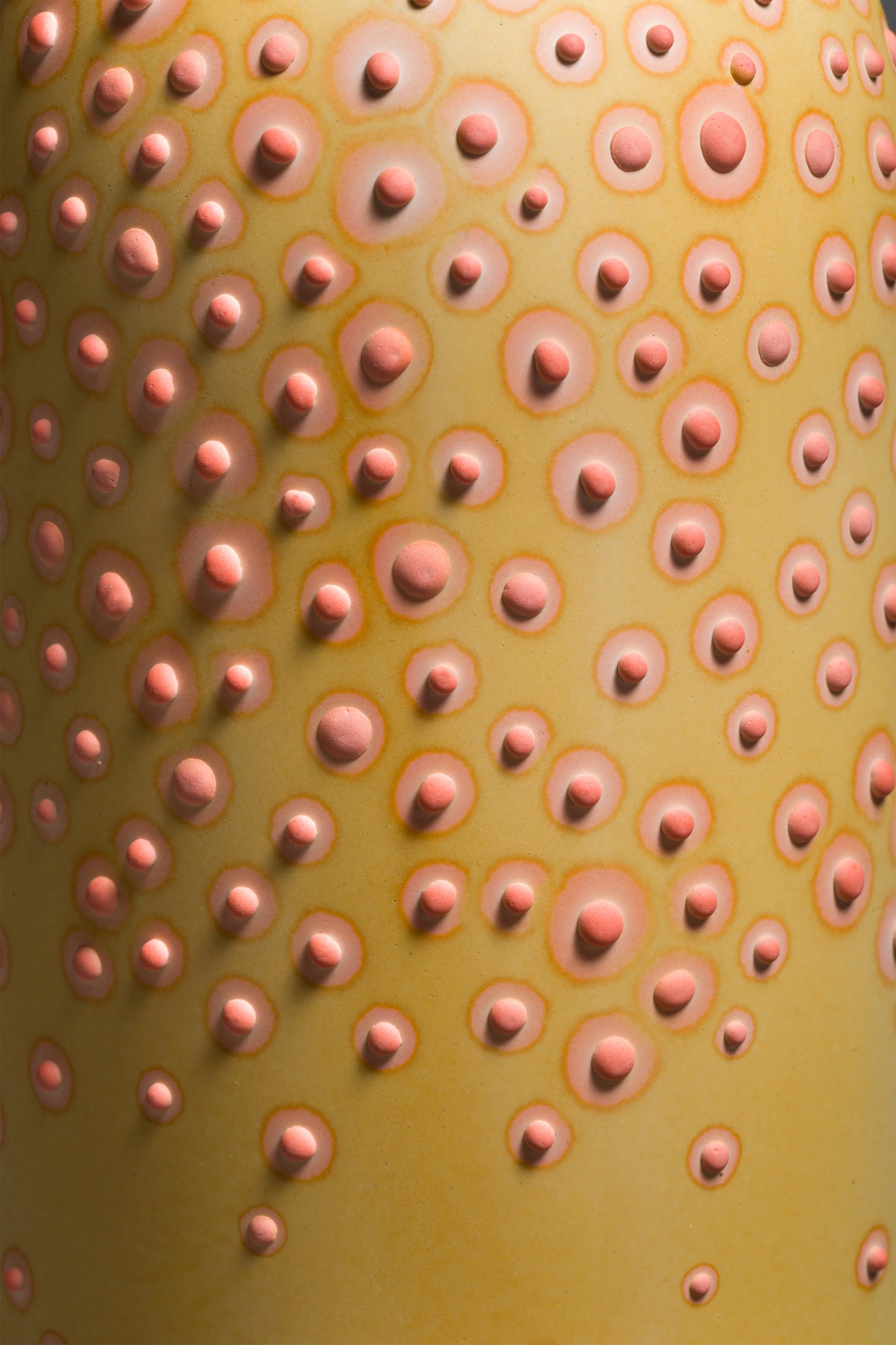 Dubos_Mustard_2.jpg