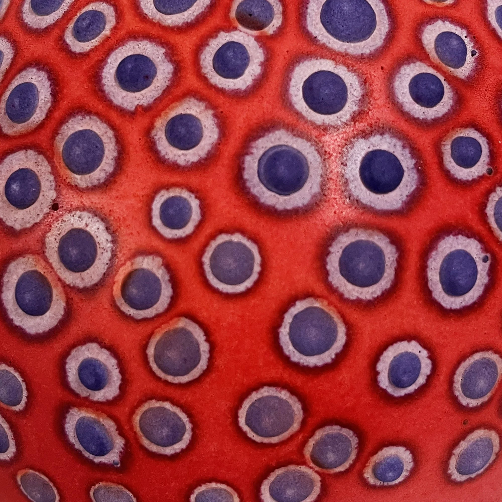 Petri_Garnet_2.jpg