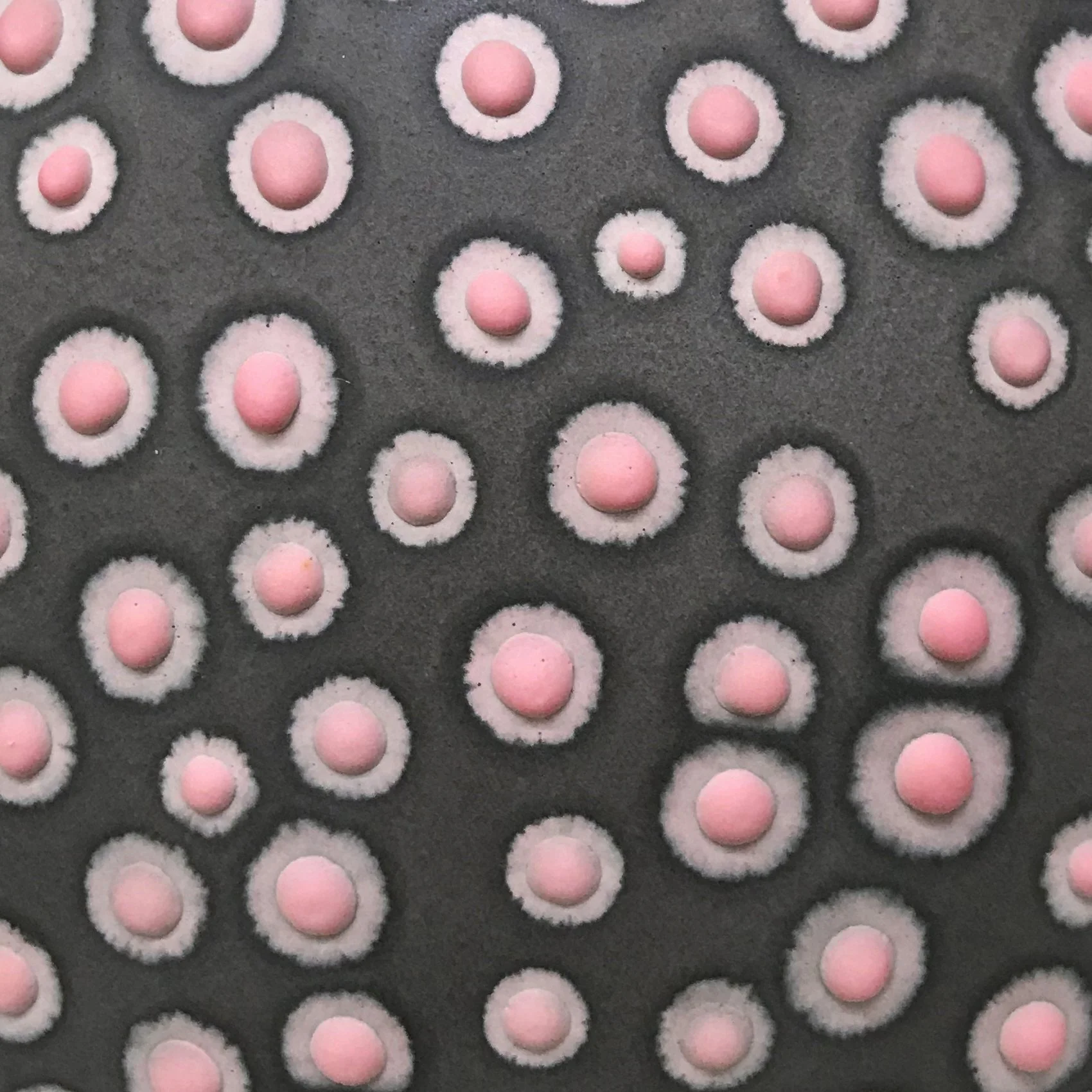 Petri_Granite_2.jpg