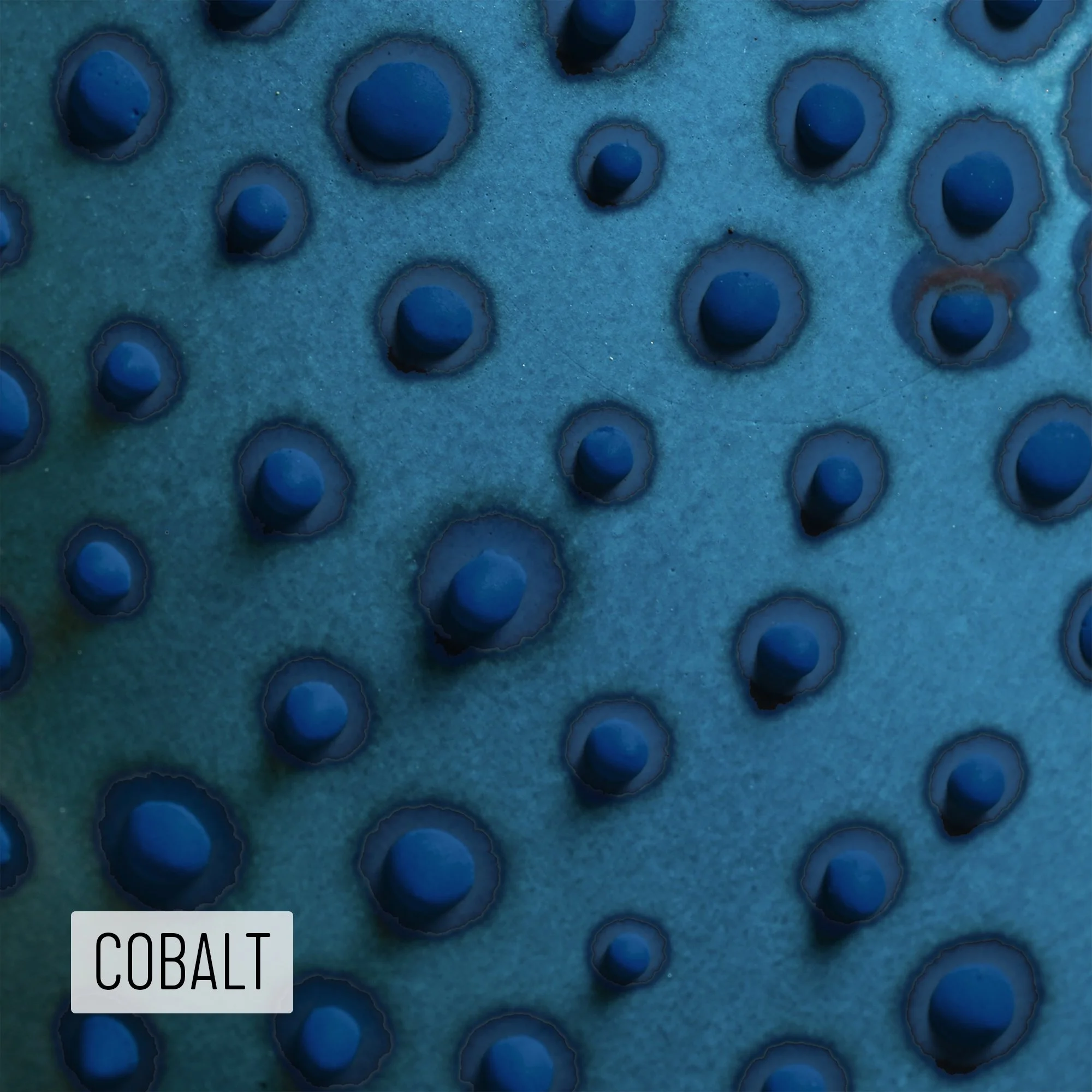 Microbe Colorway_Cobalt_Caption.jpeg