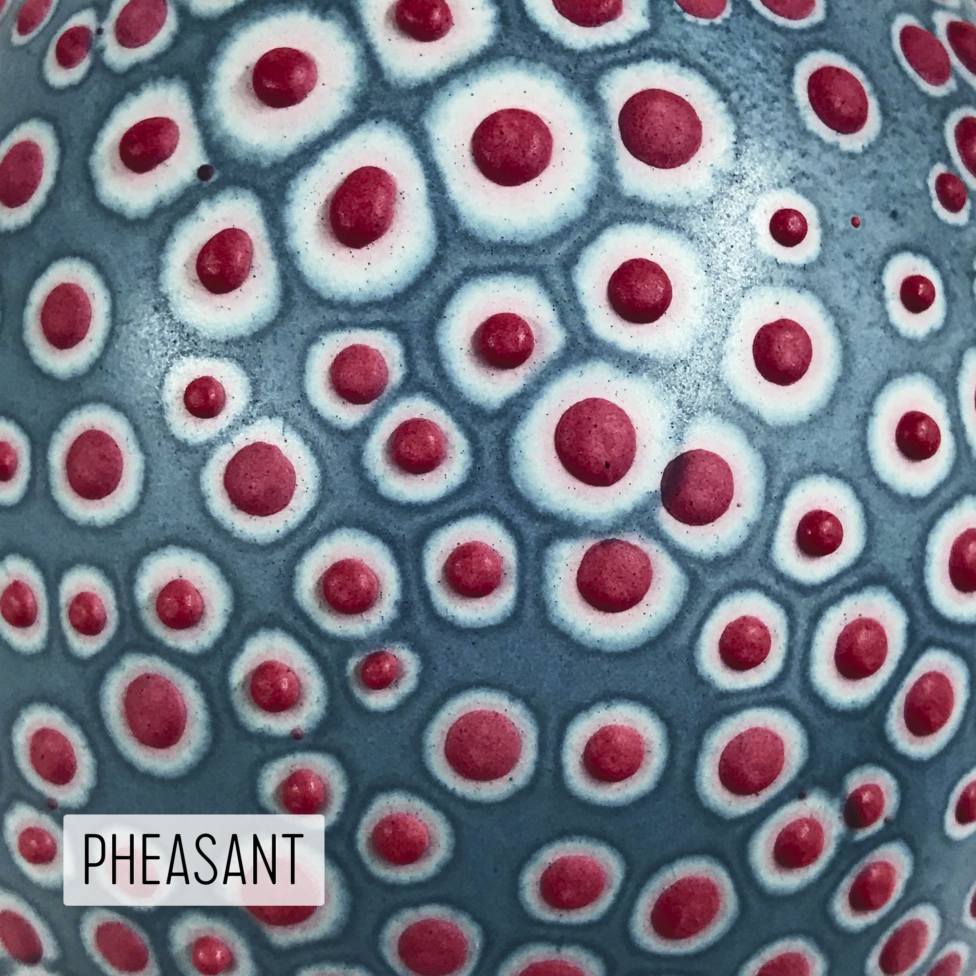 Microbe Colorway_Pheasant_Caption.jpg