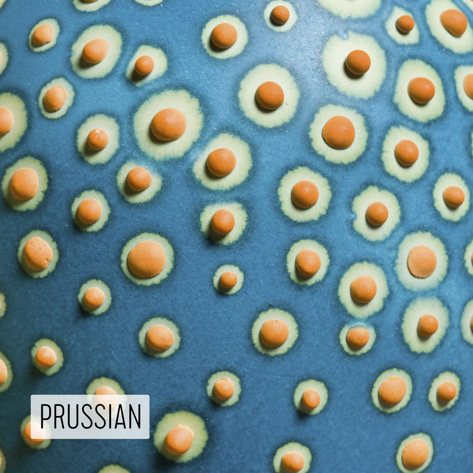 Microbe Colorway_Prussian_Caption.jpeg