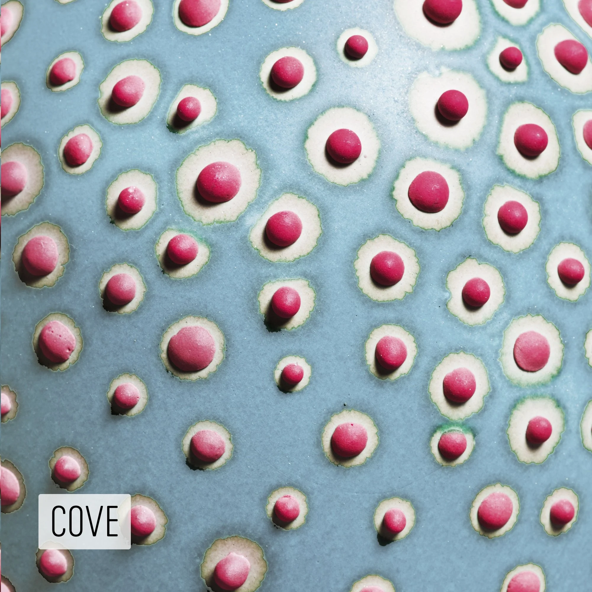 Microbe Colorway_Cove_Caption.jpeg