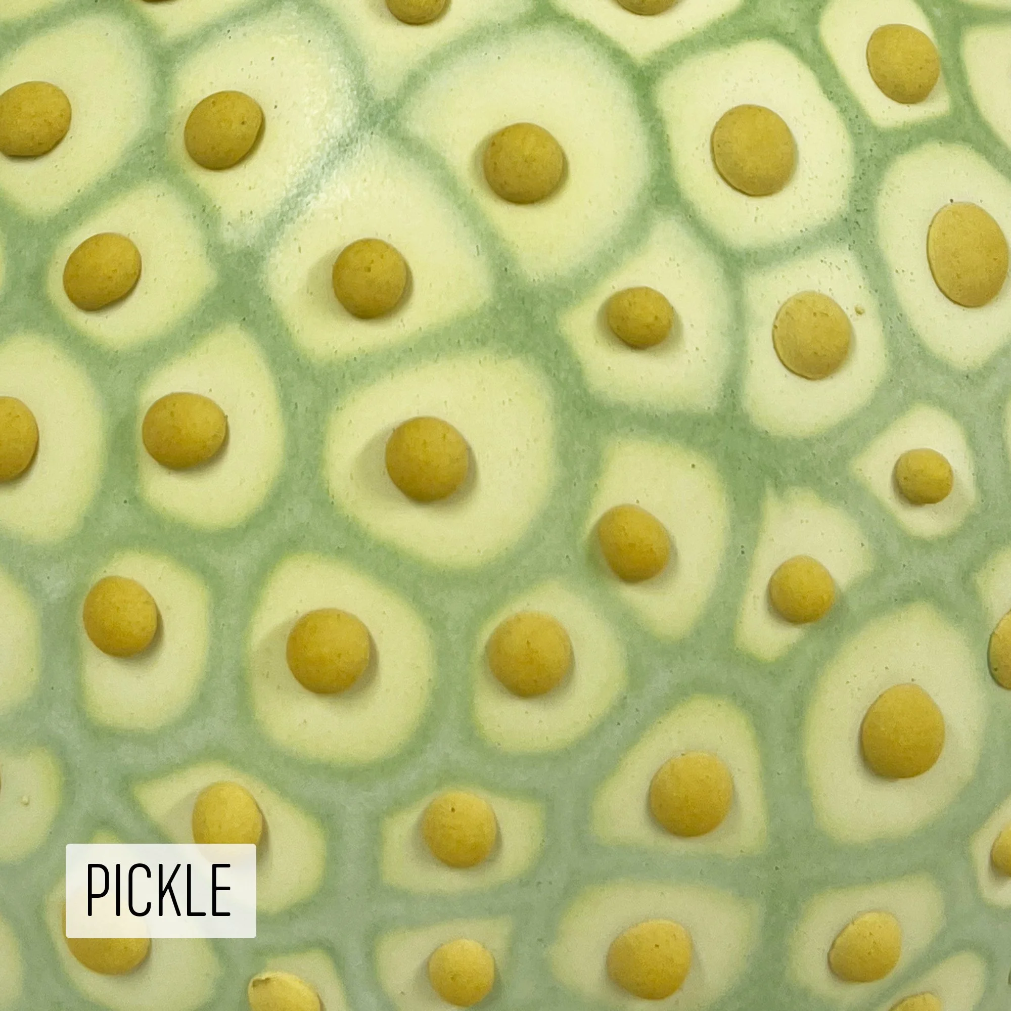Microbe Colorway_Pickle_Caption.jpg